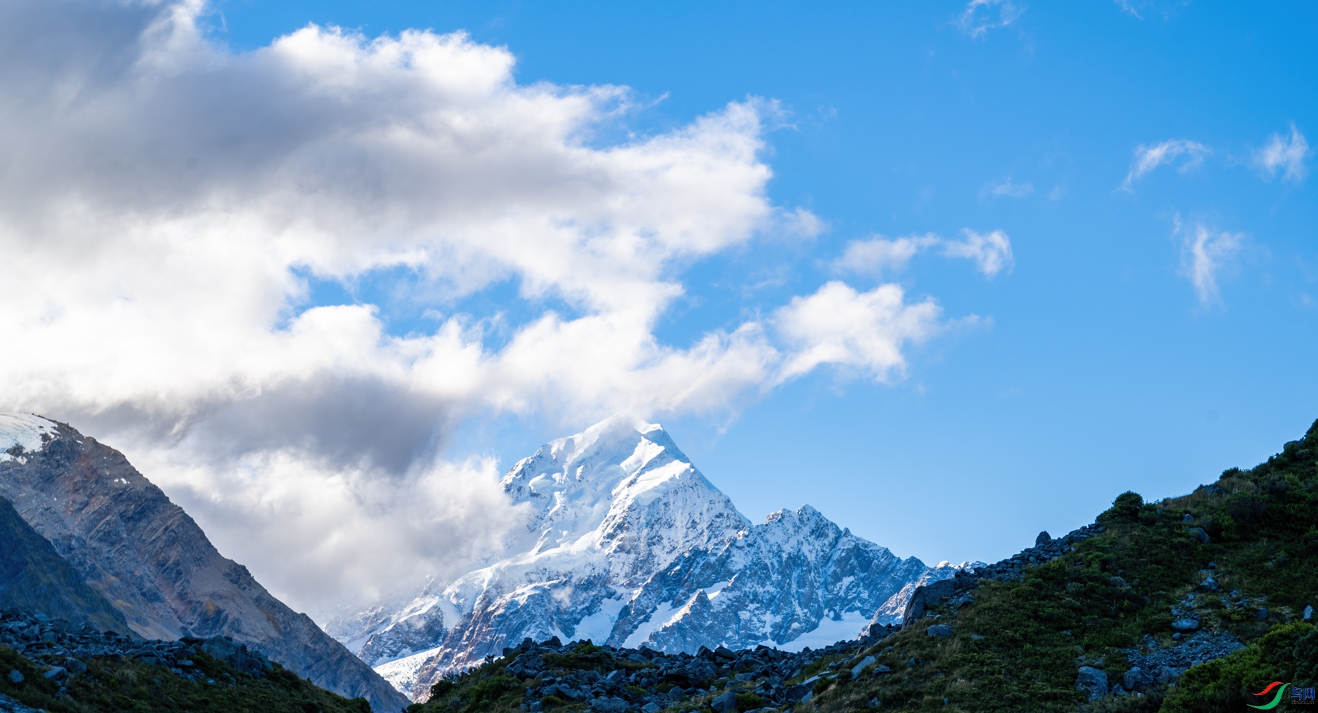 DSC_7553-1.jpg