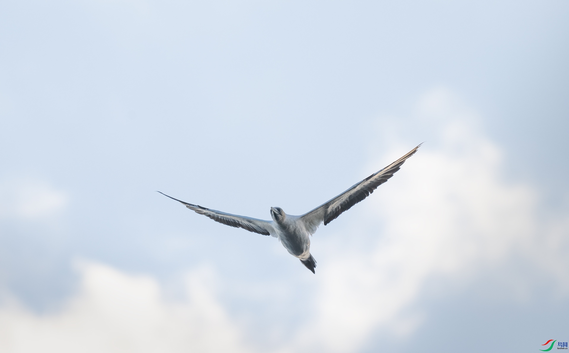 DSC_4425-1.jpg