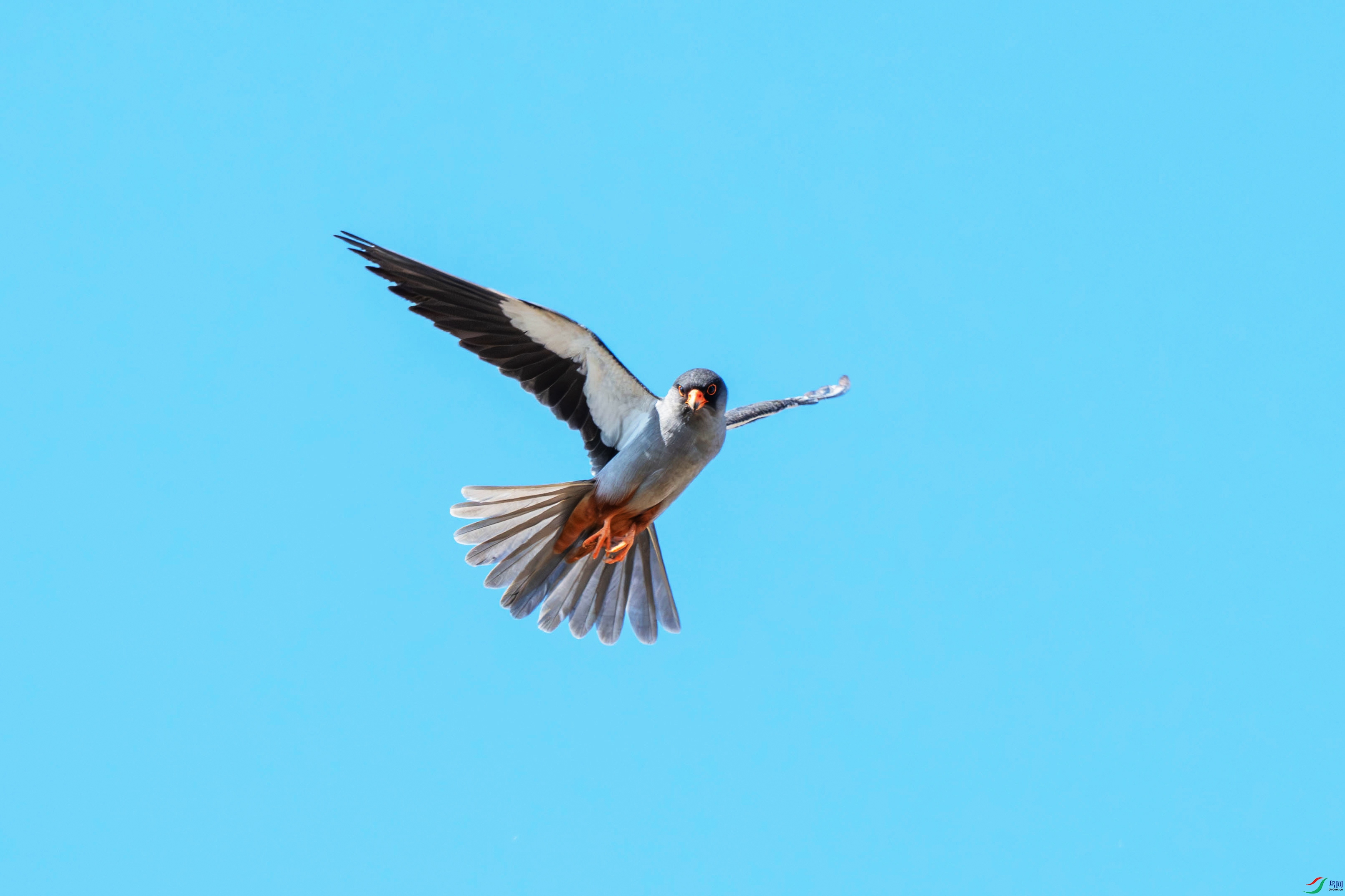 DSC_2155.jpg