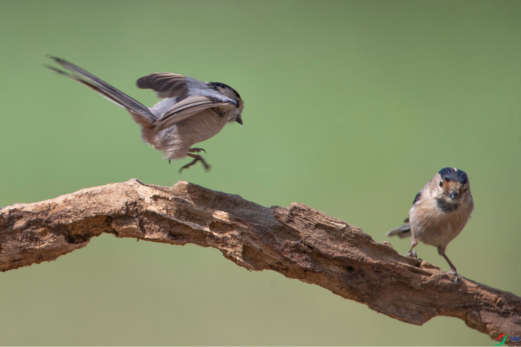 ������βɽȸ6