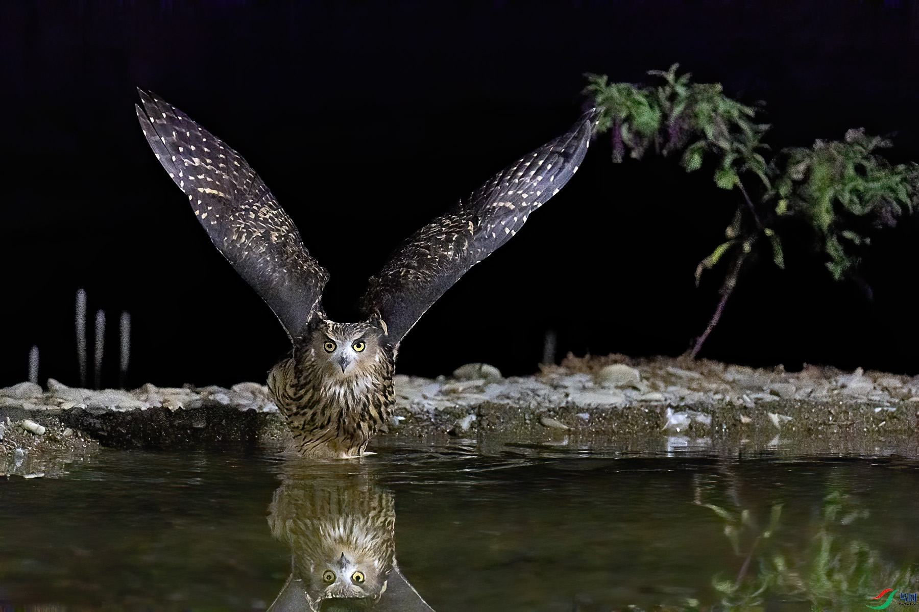 �������^