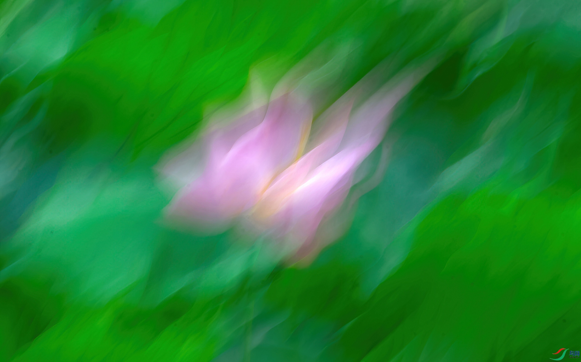 _MG_4686a.jpg