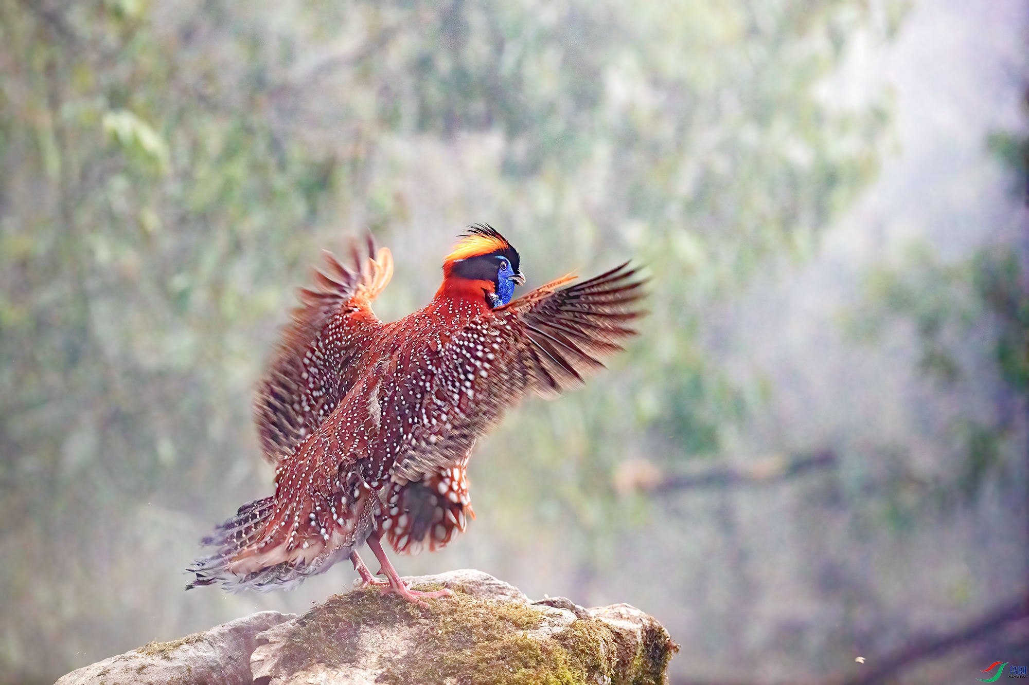 AY8I0031 ����.jpg