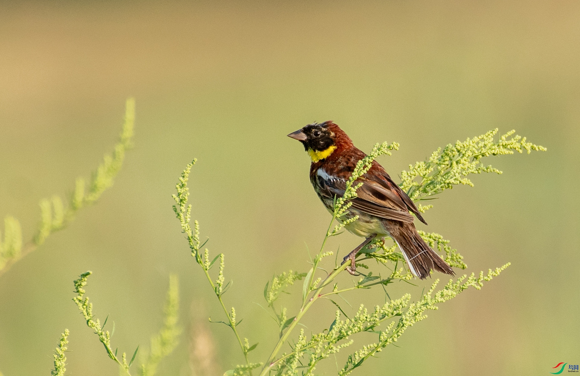 DSC_7929.jpg