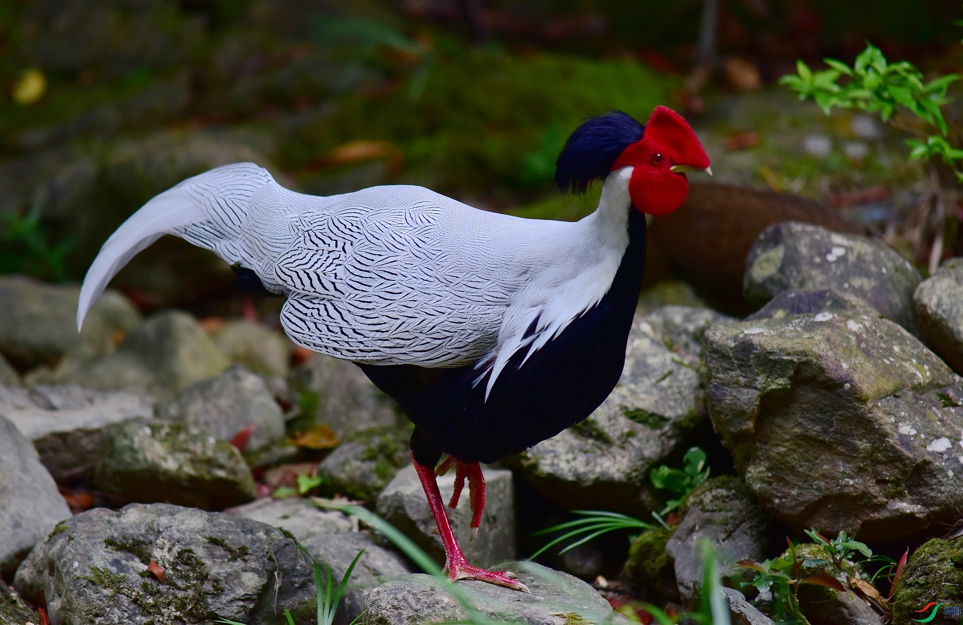 D8I_0465.jpg