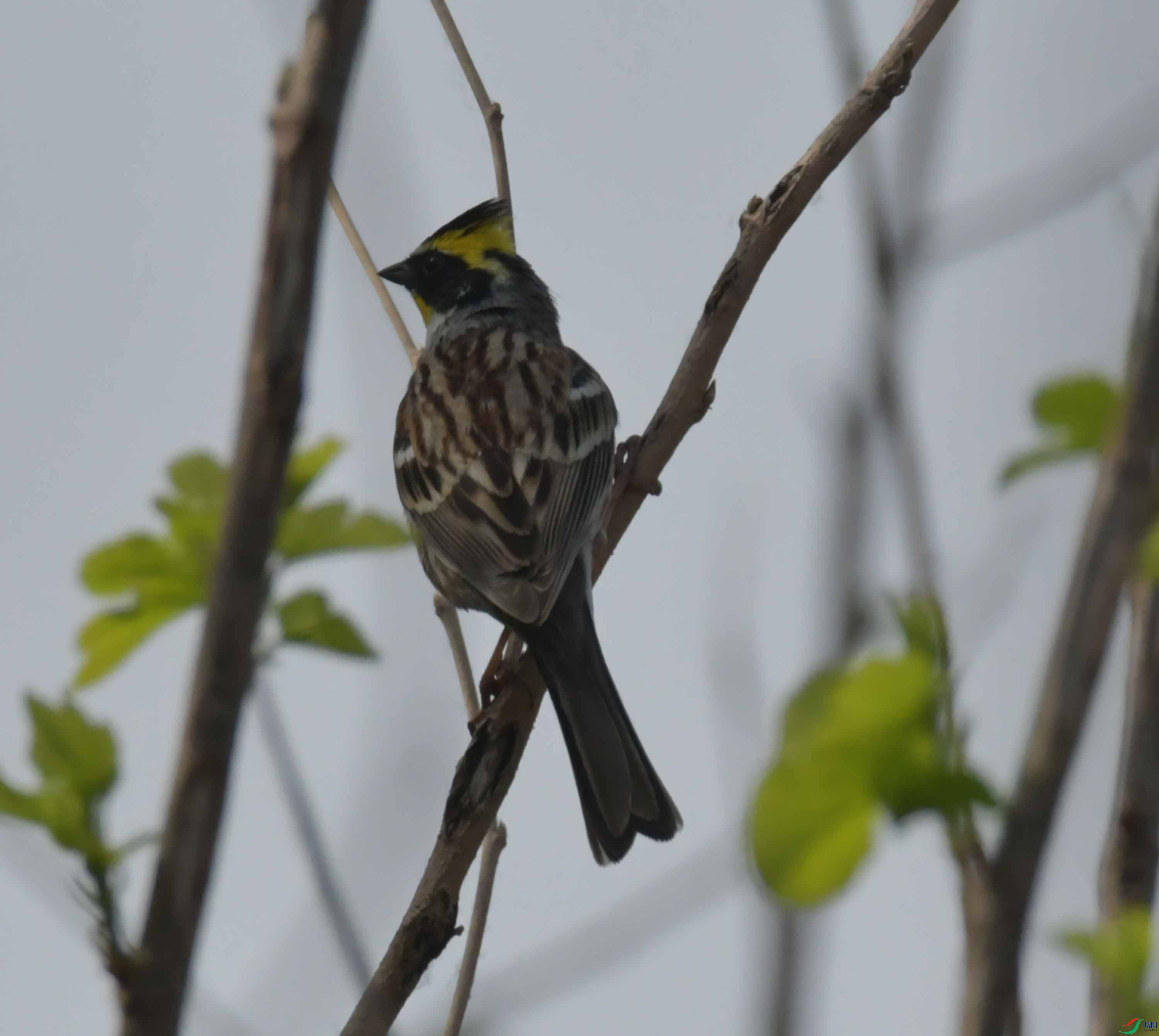 DSC_9134.JPG