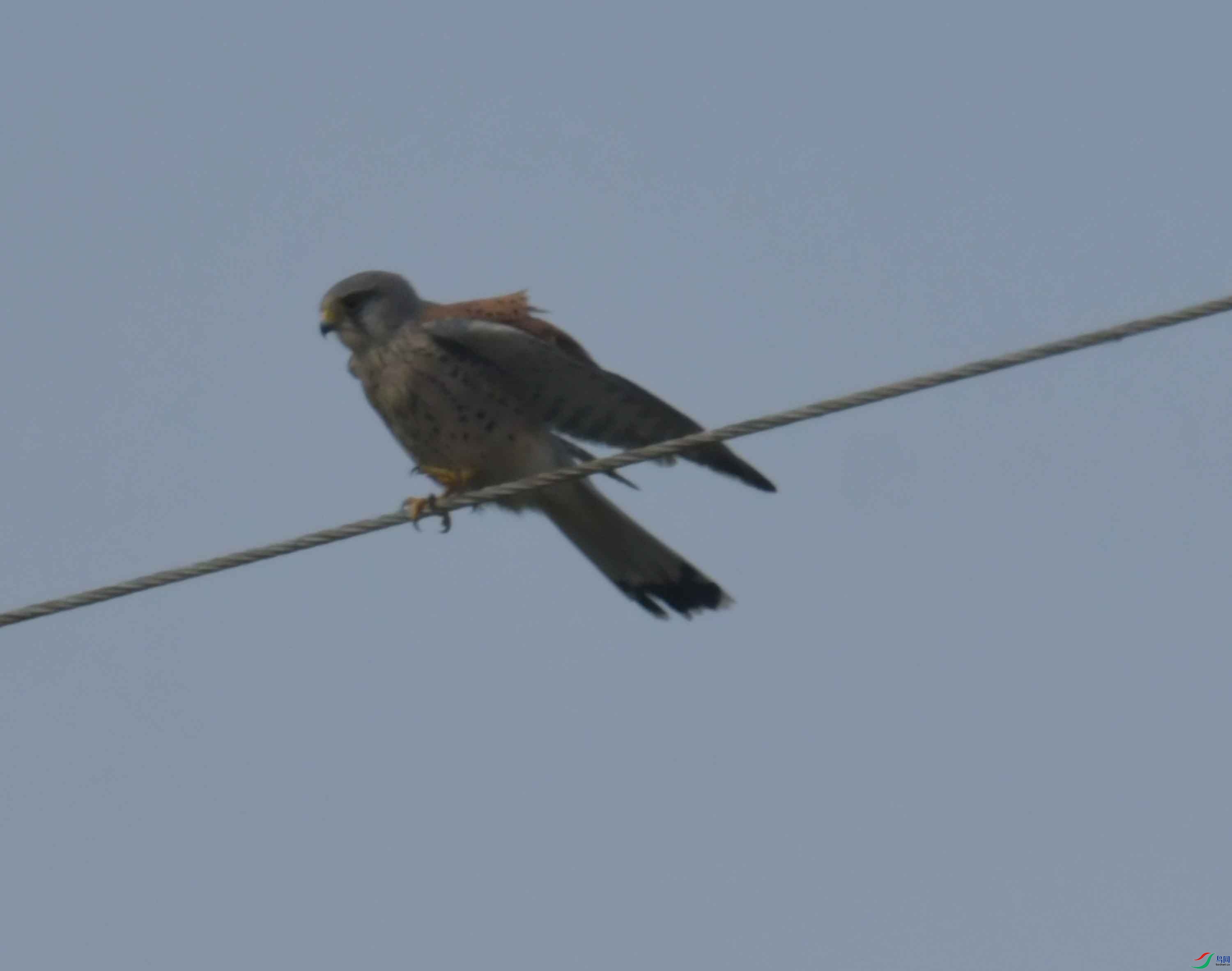 DSC_7702.JPG