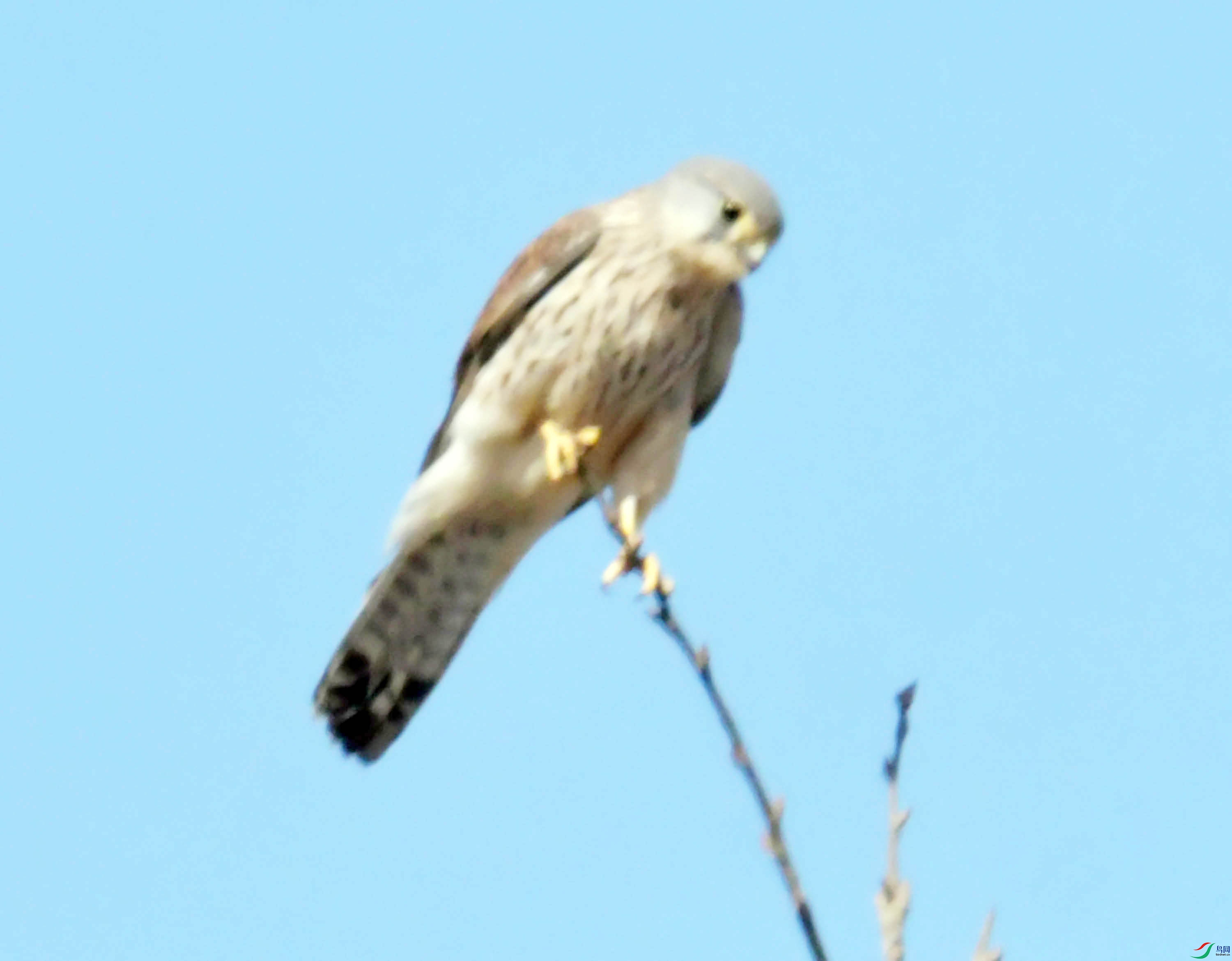 DSC_8062.JPG