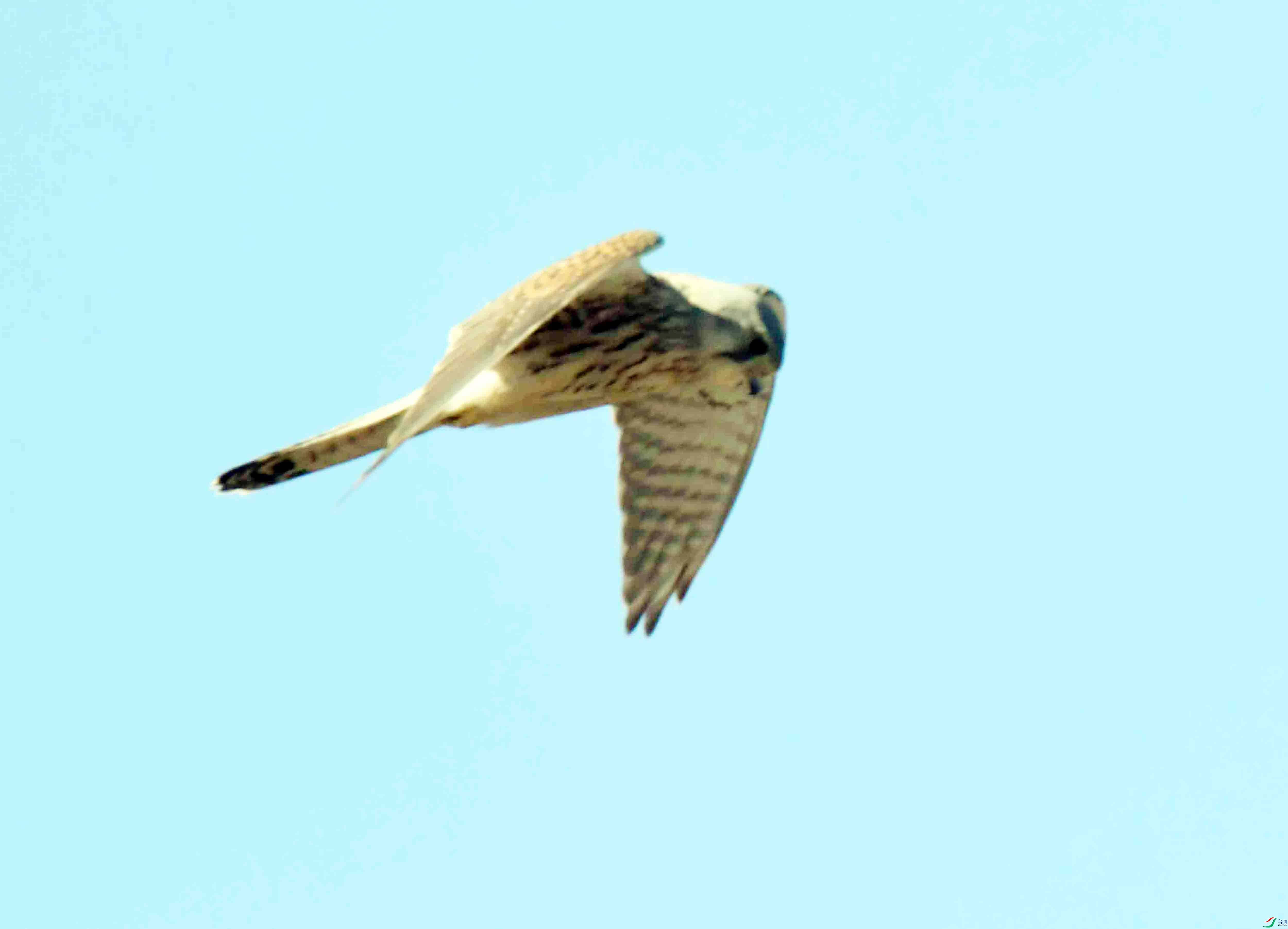 DSC_8627.JPG