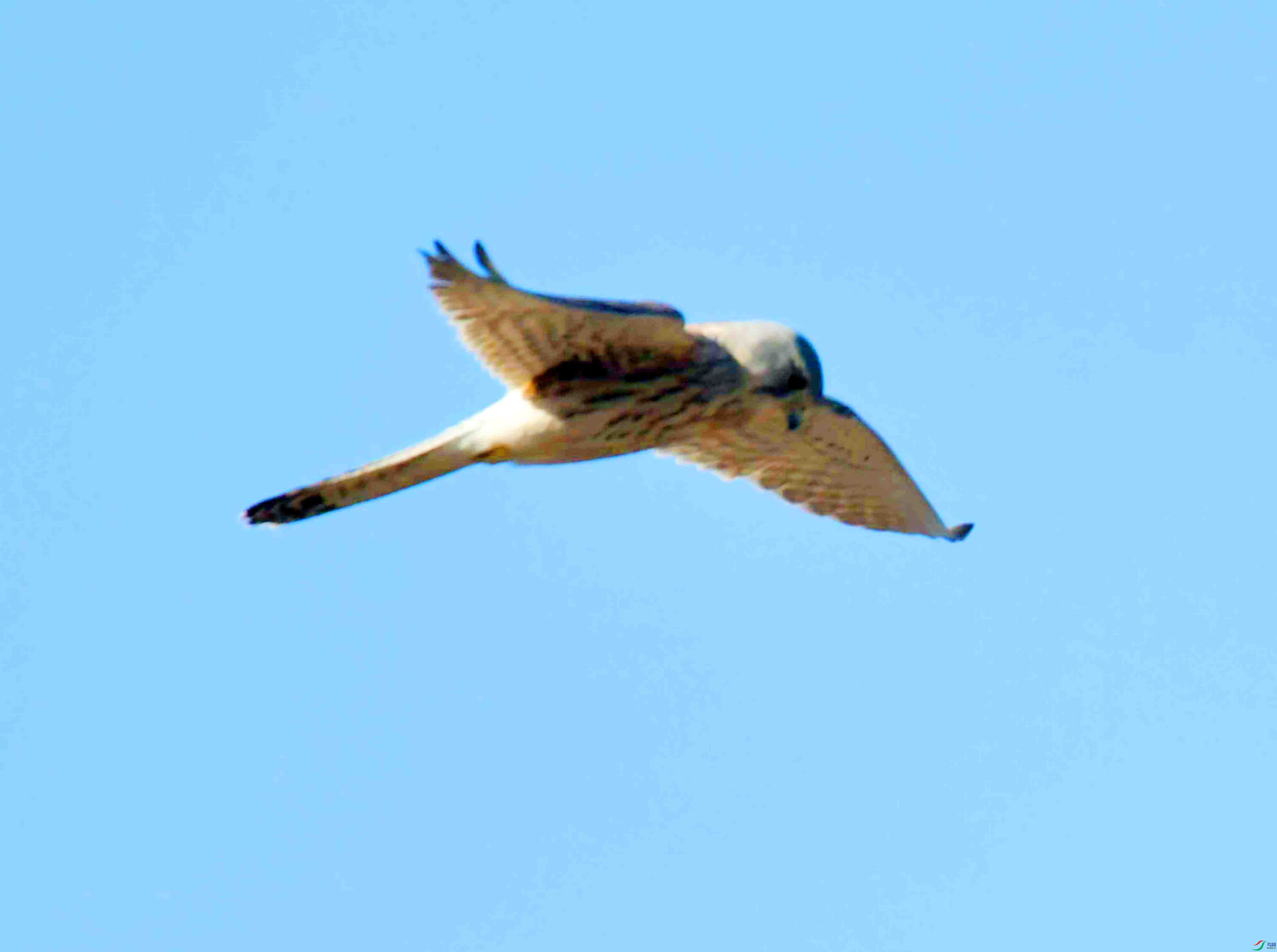 DSC_8628.JPG