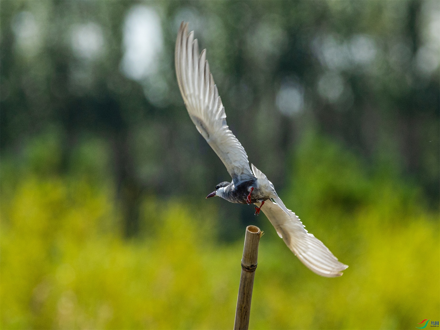 1K3A2003 ����1.jpg