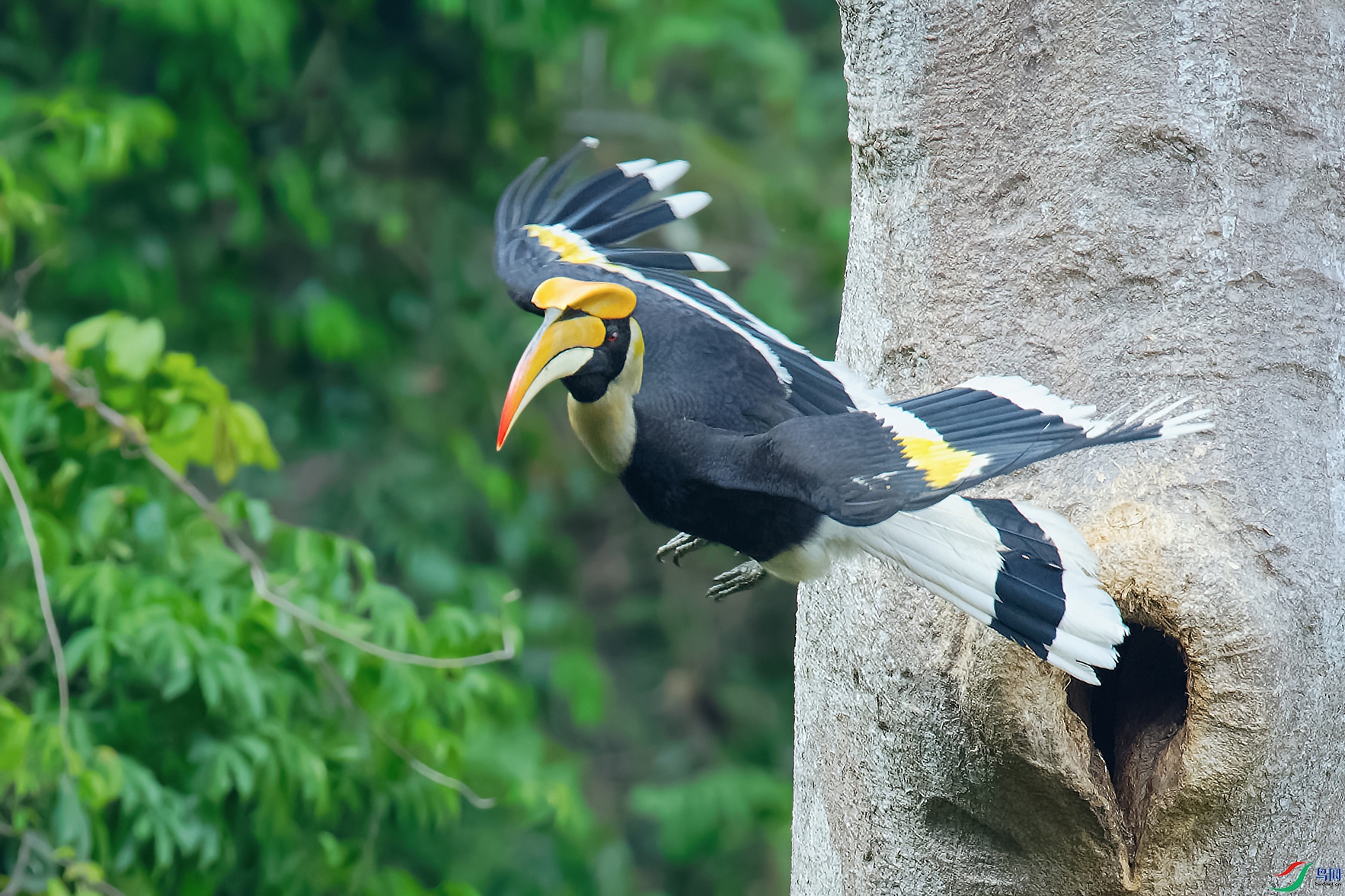 DSC_9923_DxOa.jpg
