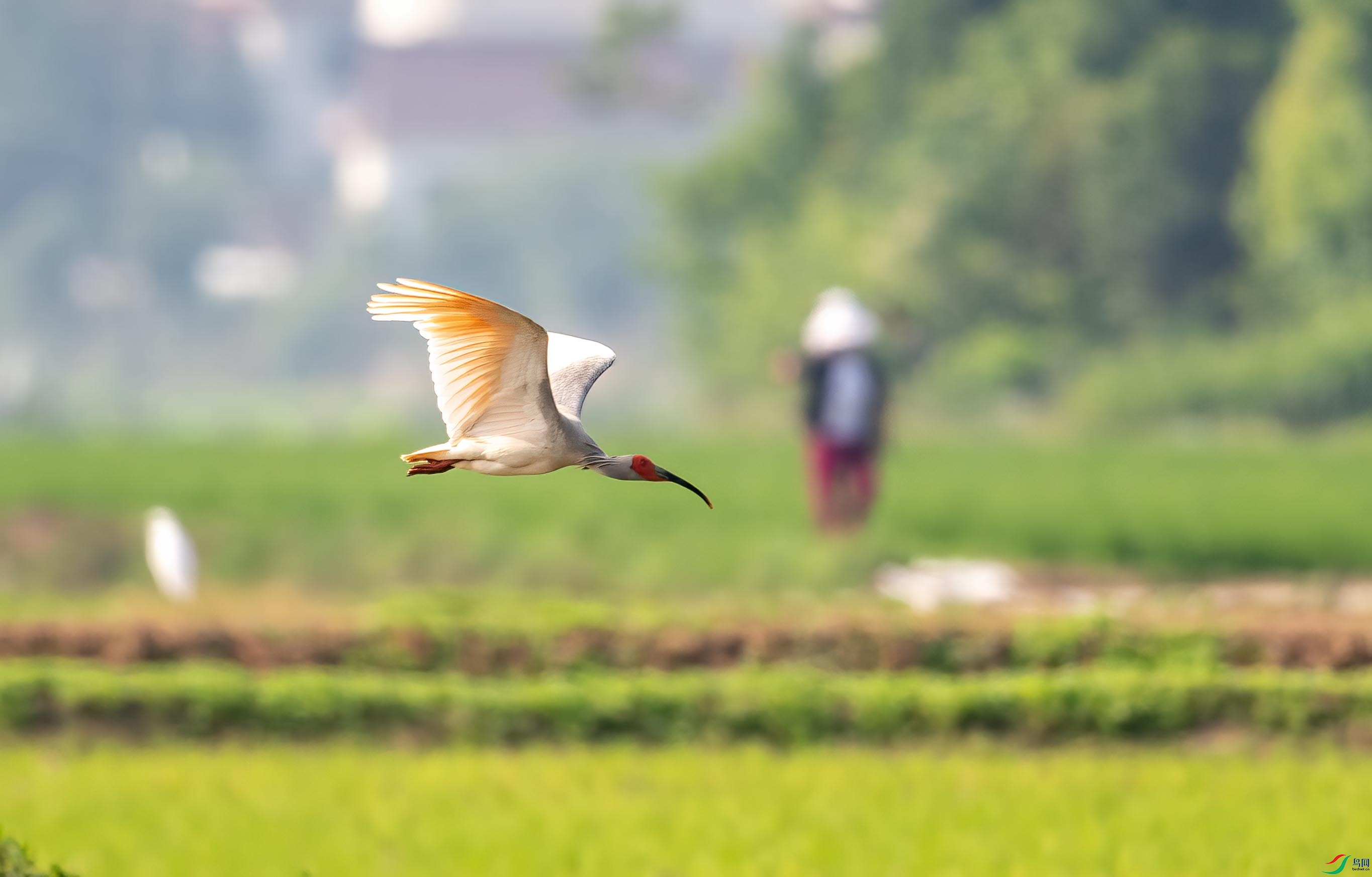 DSC_8213 ����.jpg