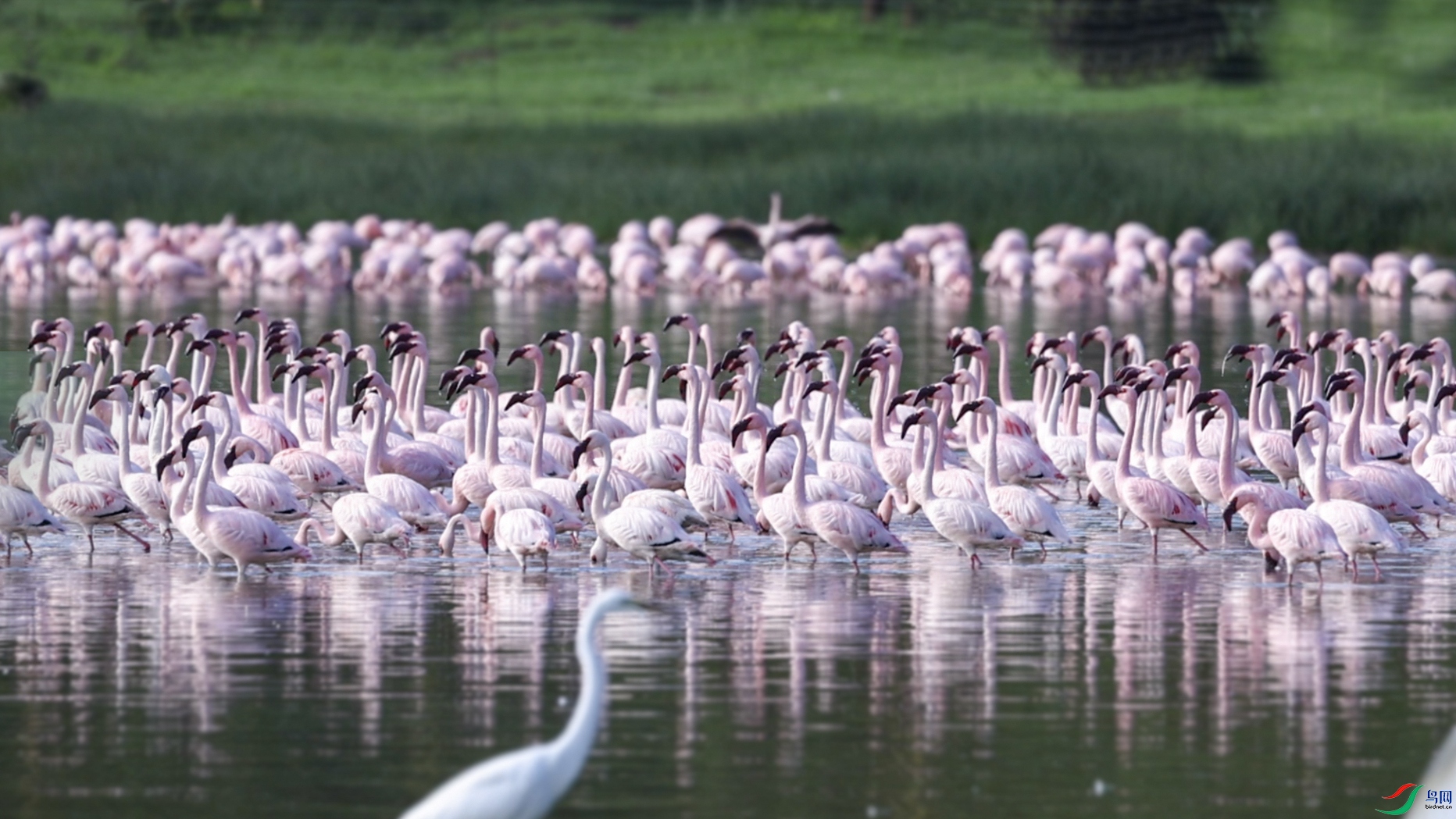 DSC_6266 ��..jpg