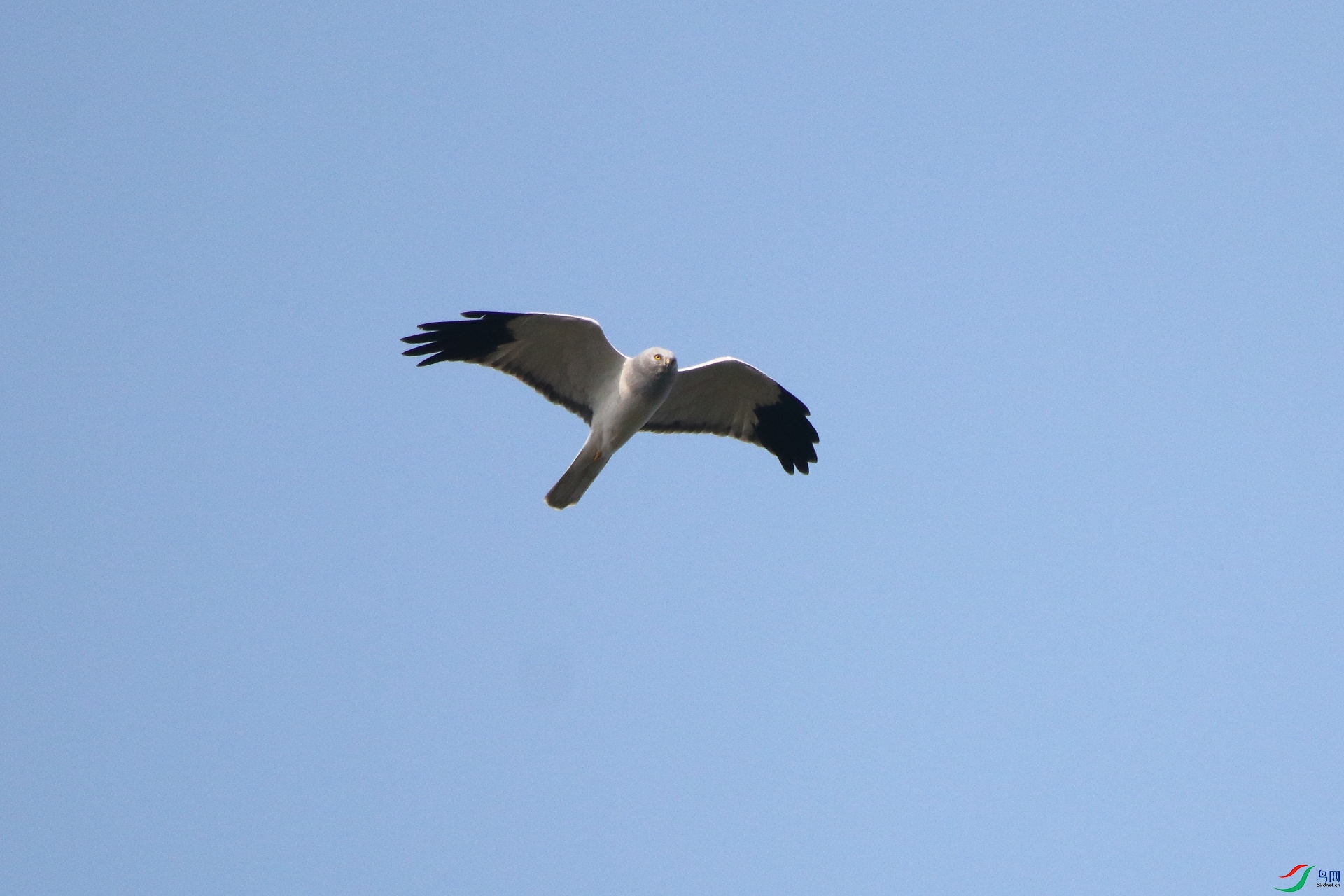 IMG_3394.JPG