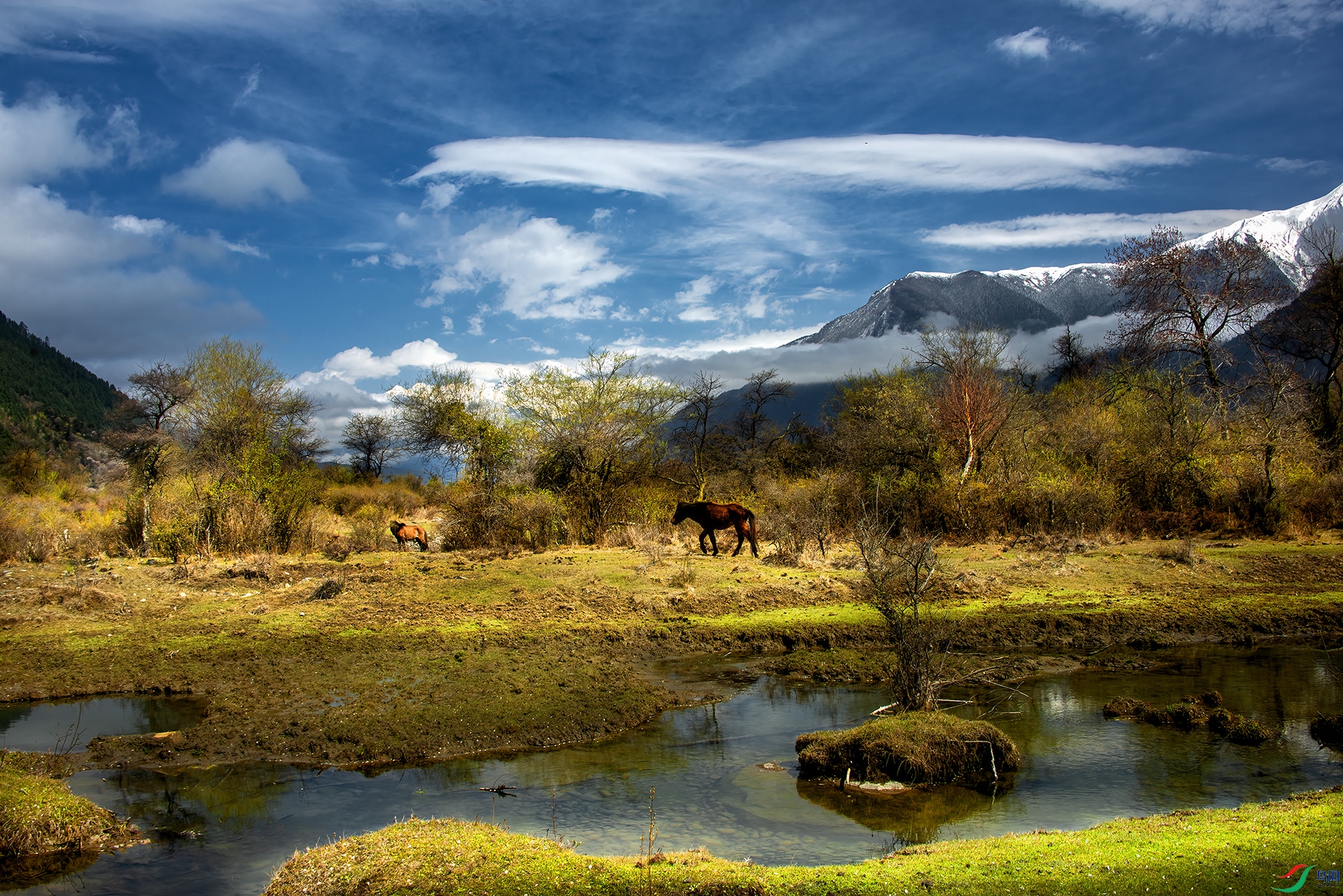 _DSC9283 - ���ܷ��.jpg