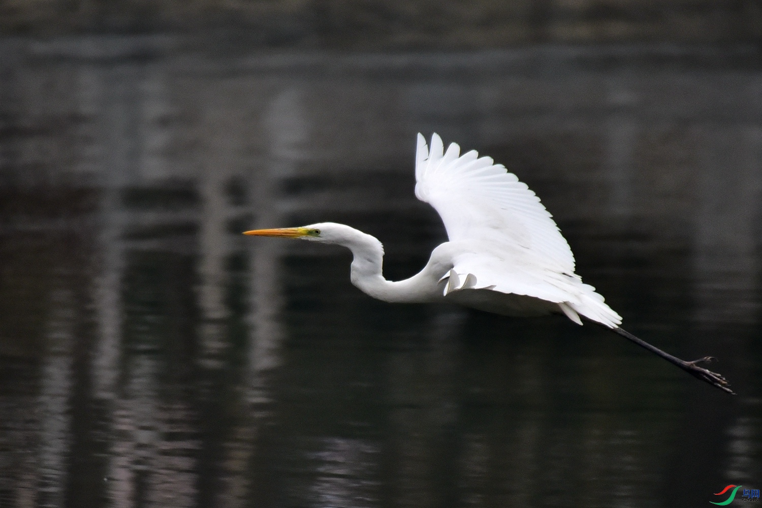 DSC_7026.JPG