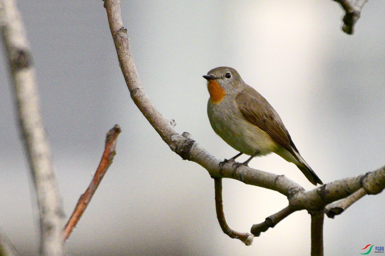 DSC_1878.JPG