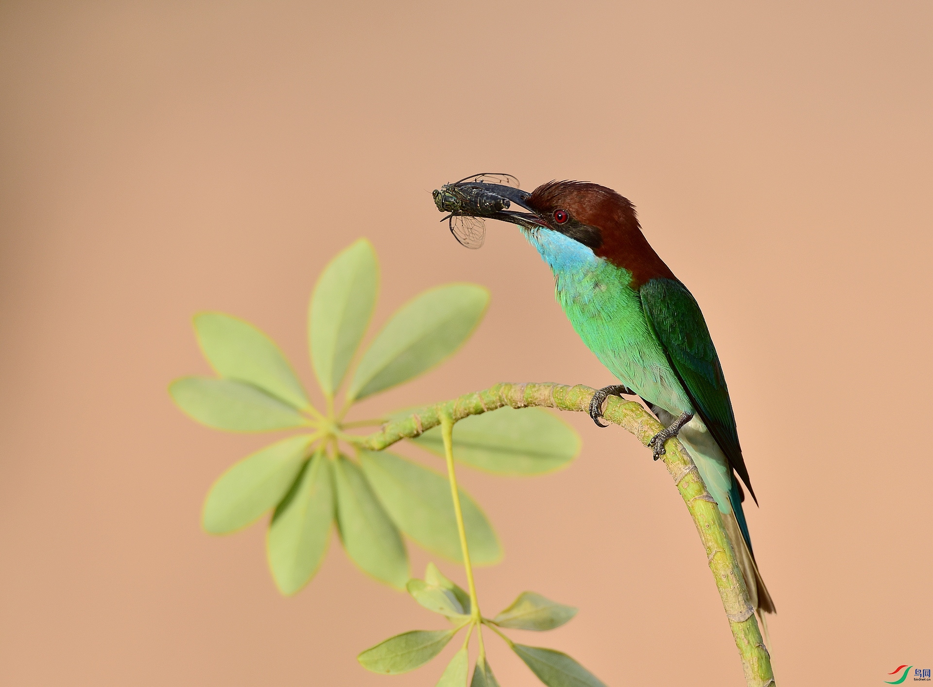 D8I_6990.jpg