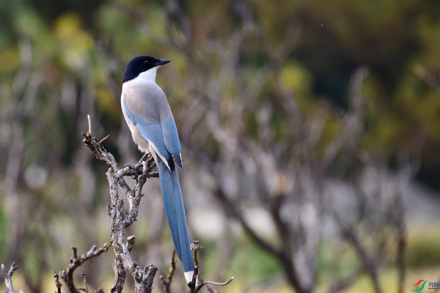 DSC_6683.JPG