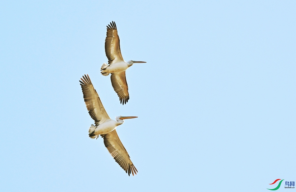DSC_7967.JPG