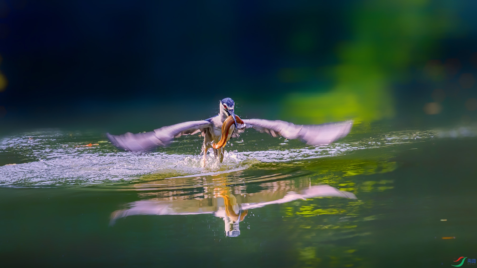 547A3490 ����.jpg