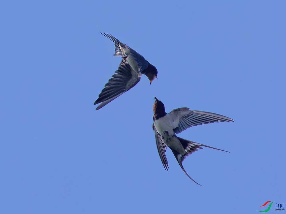 P7210824_DxO - ����.jpg