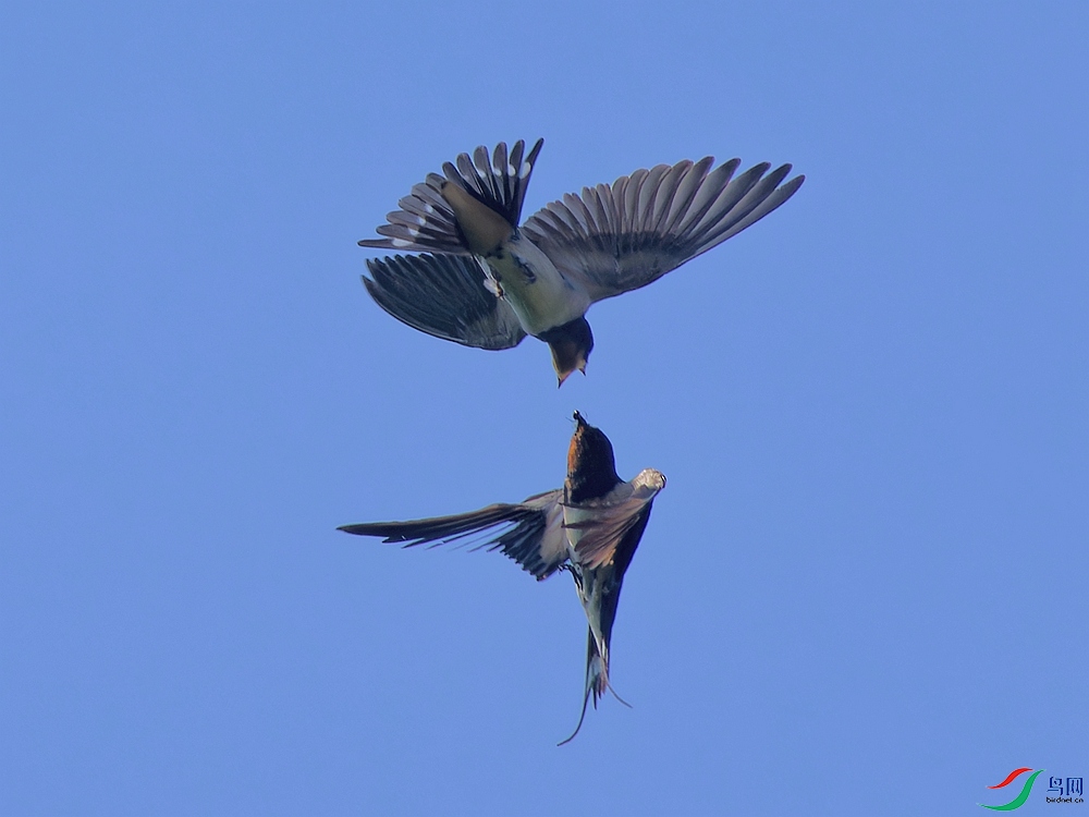 P7210825_DxO - ����.jpg