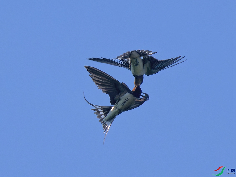 P7210827_DxO - ����.jpg