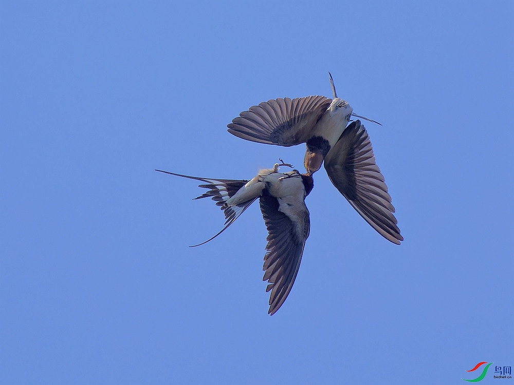 P7210829_DxO - ����.jpg