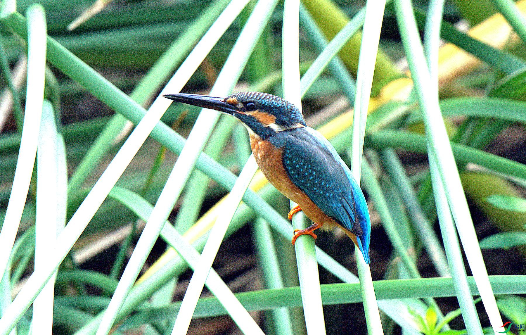 DSC06162.jpg
