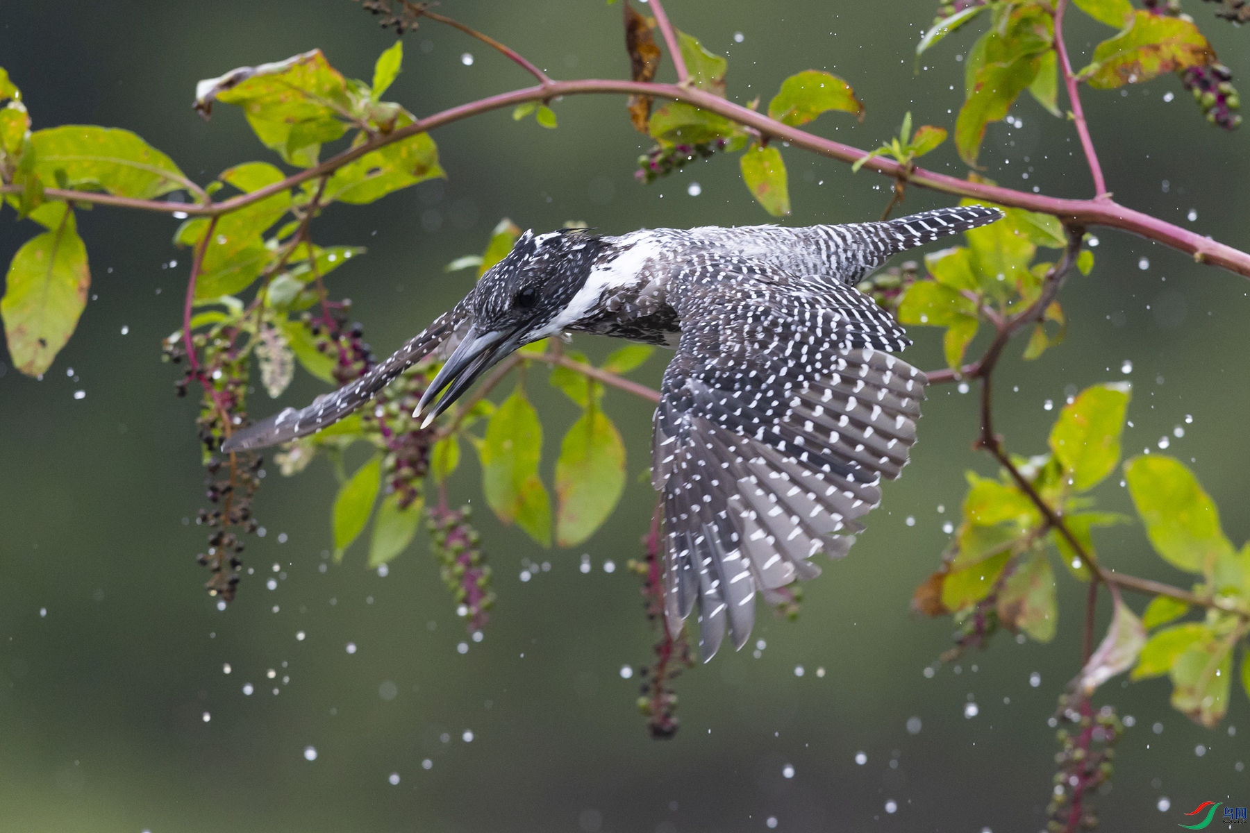 ���й��湷9