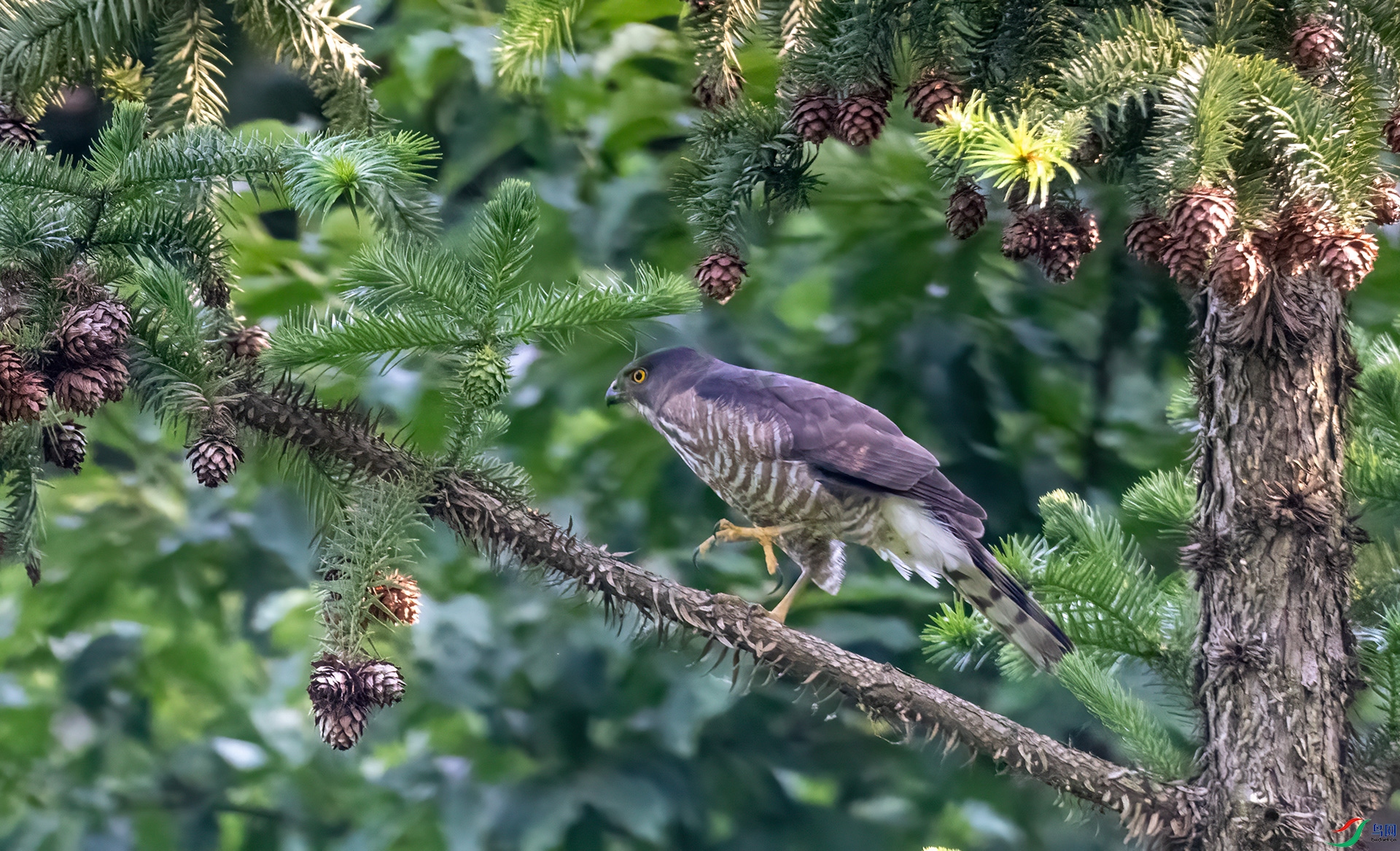 DSC_8290-1.jpg