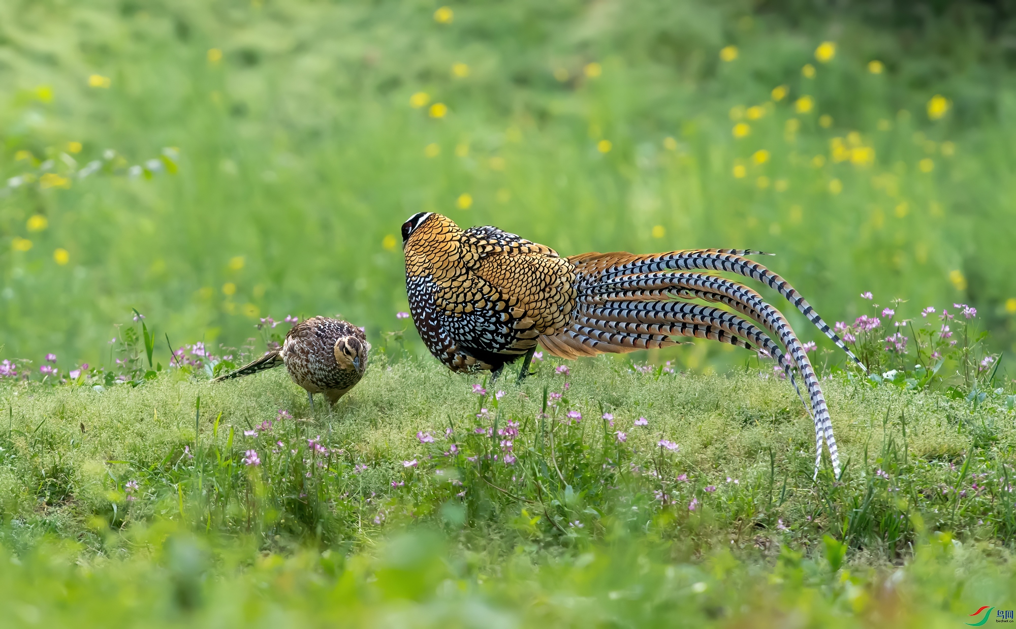 DSC_7642A.jpg