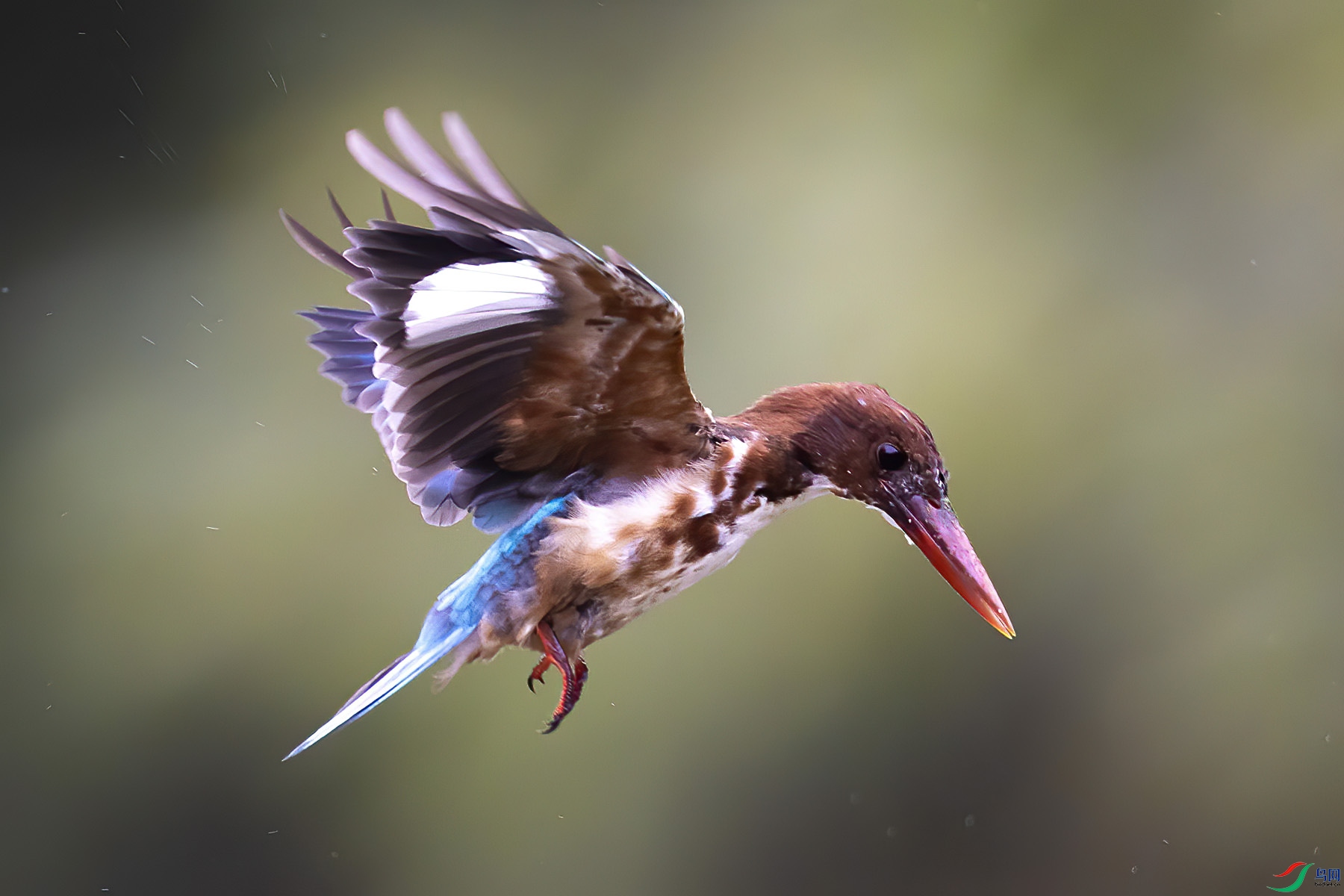 �������3