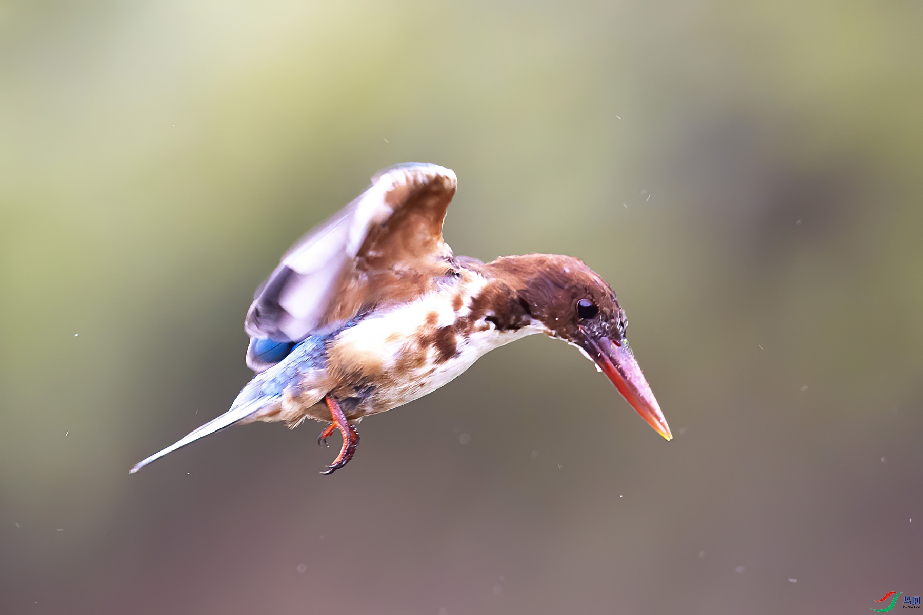 �������4