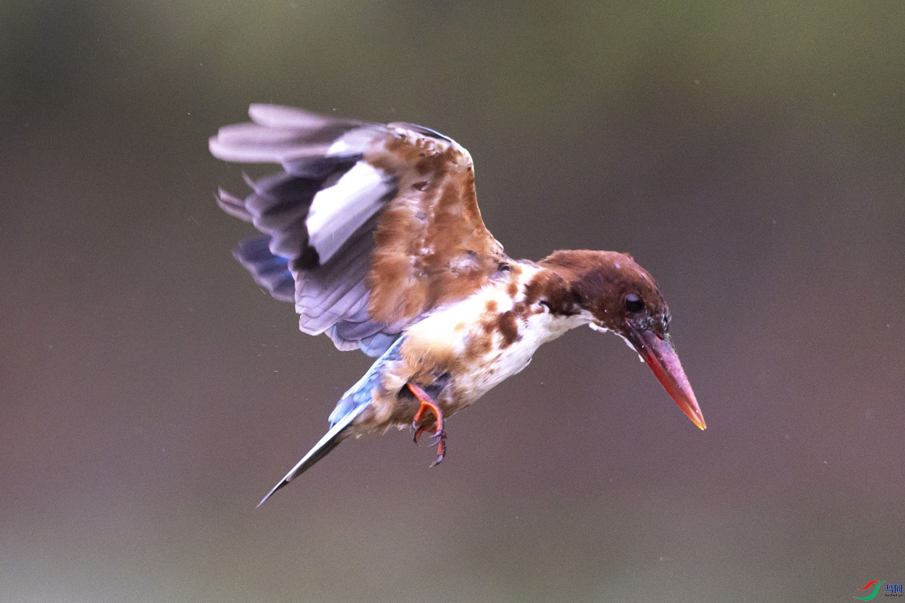 �������7