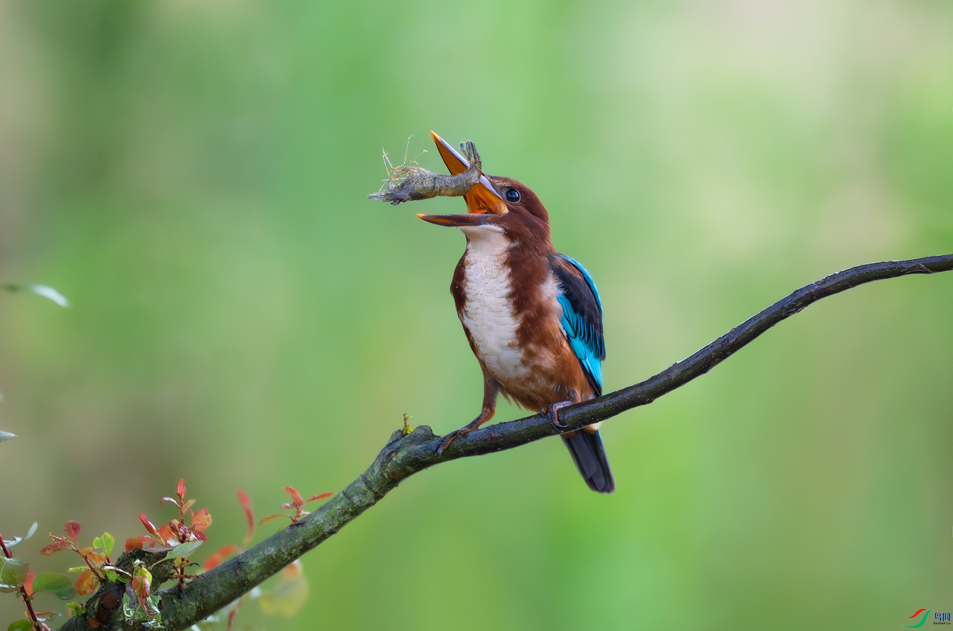 ����DSC_0695.jpg