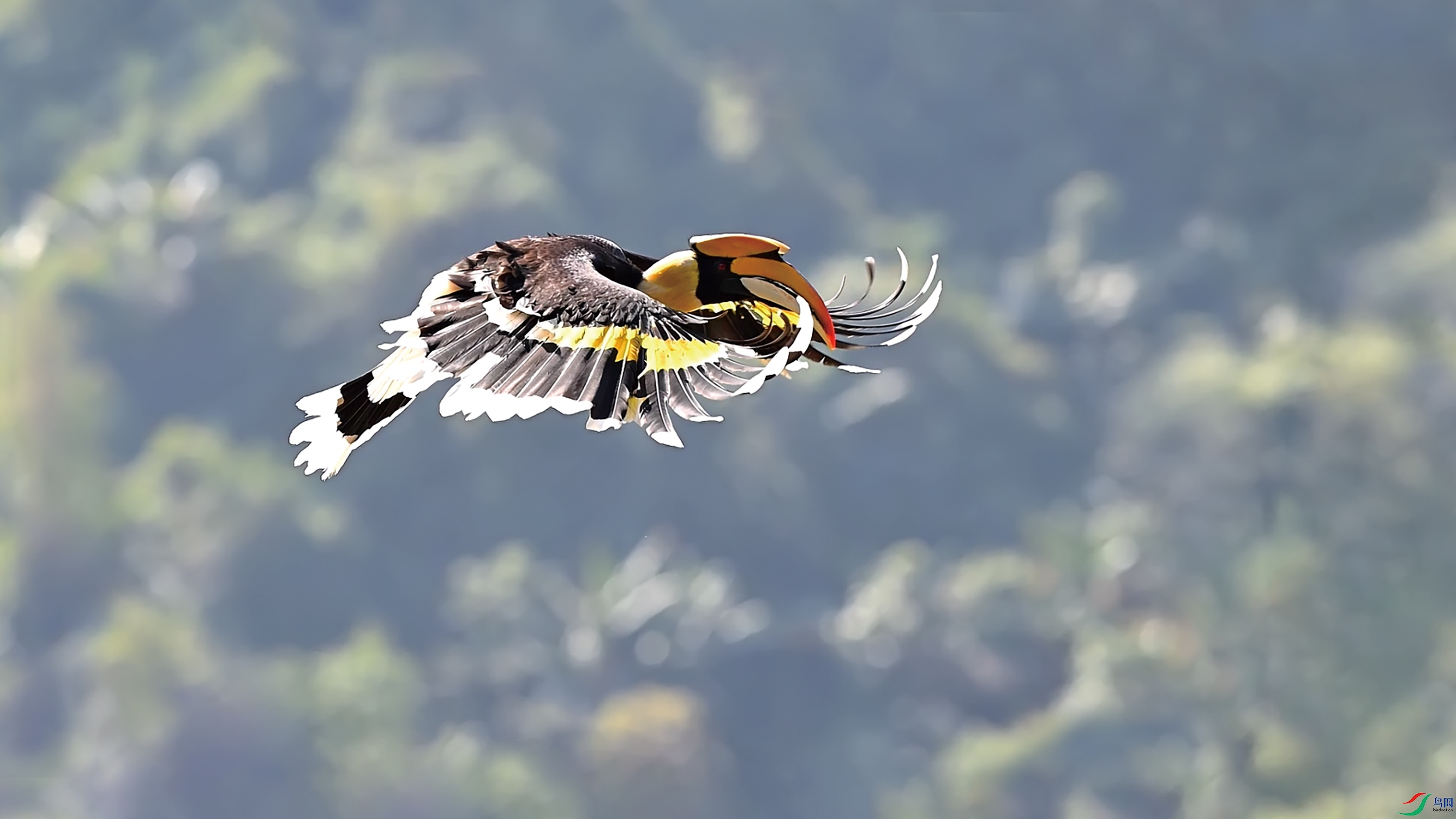 ˫��Ϭ��12 13.jpg