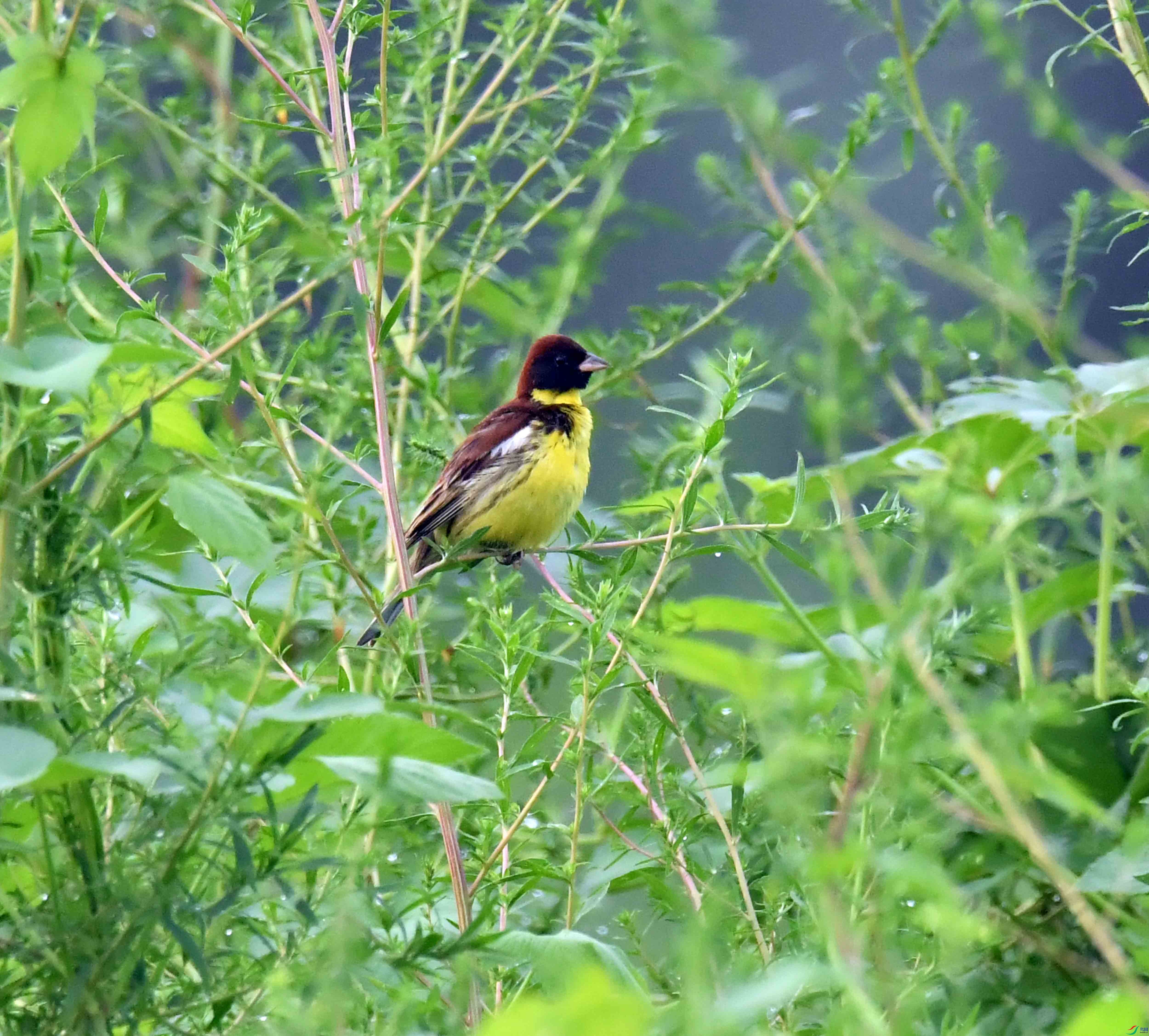 DSC_0431.JPG