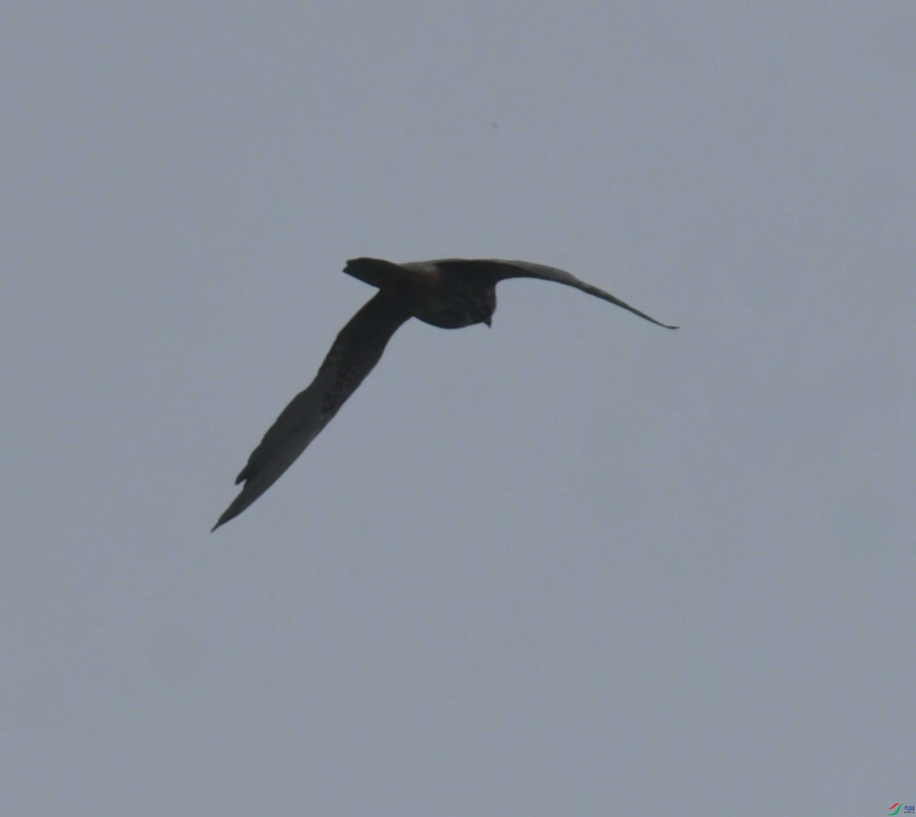 DSC_2684.JPG