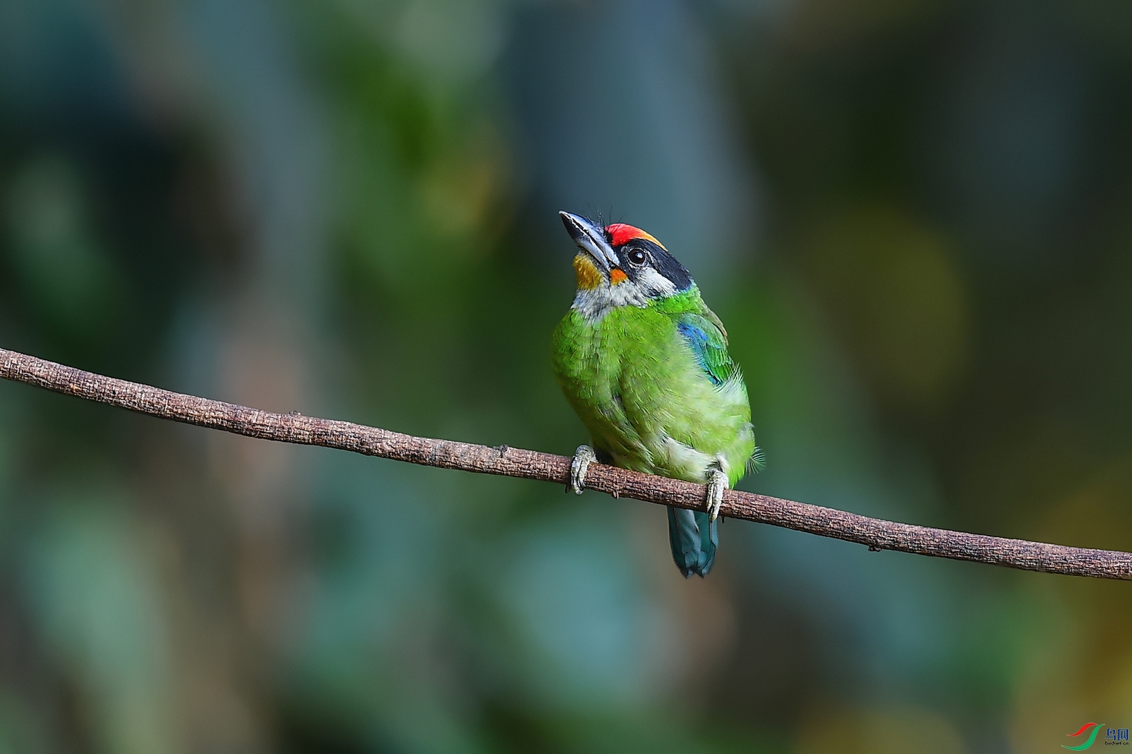 DSC_7757_DxOa.jpg