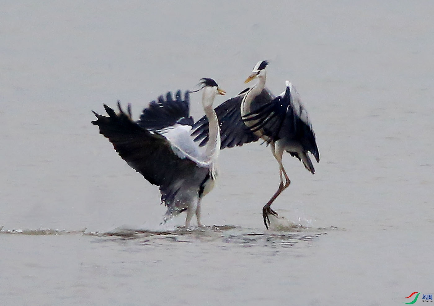 05-�� ��.jpg