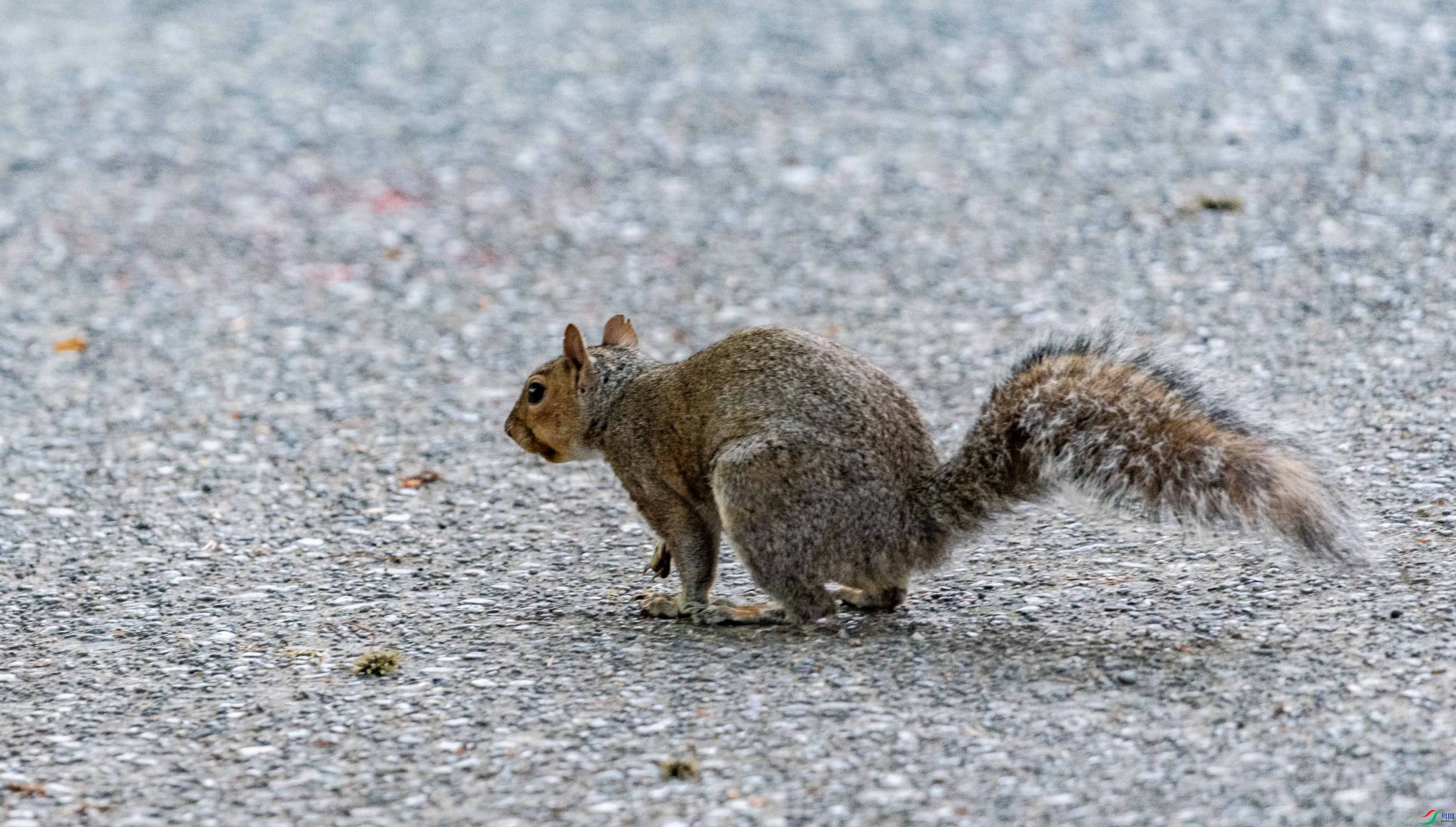 DSC_9093 ����2.jpg