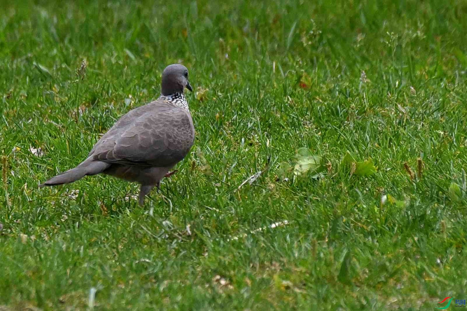 DSC_6900.JPG