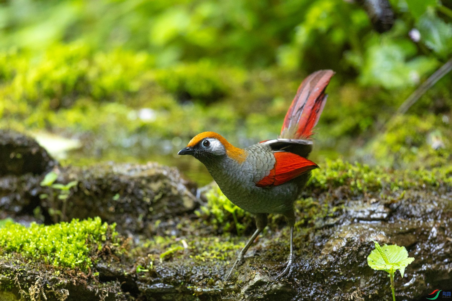 ��β����2