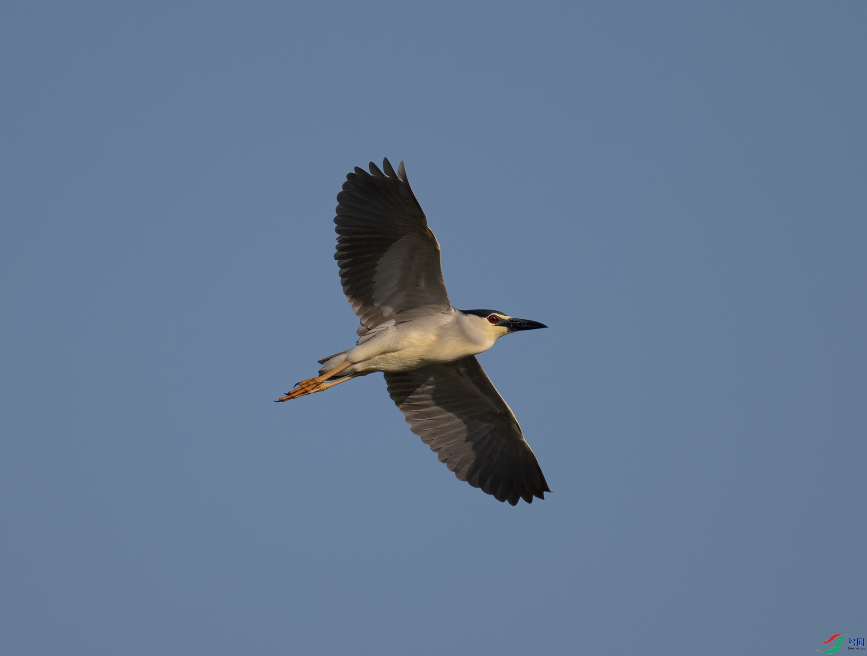 _DSC5394f.jpg