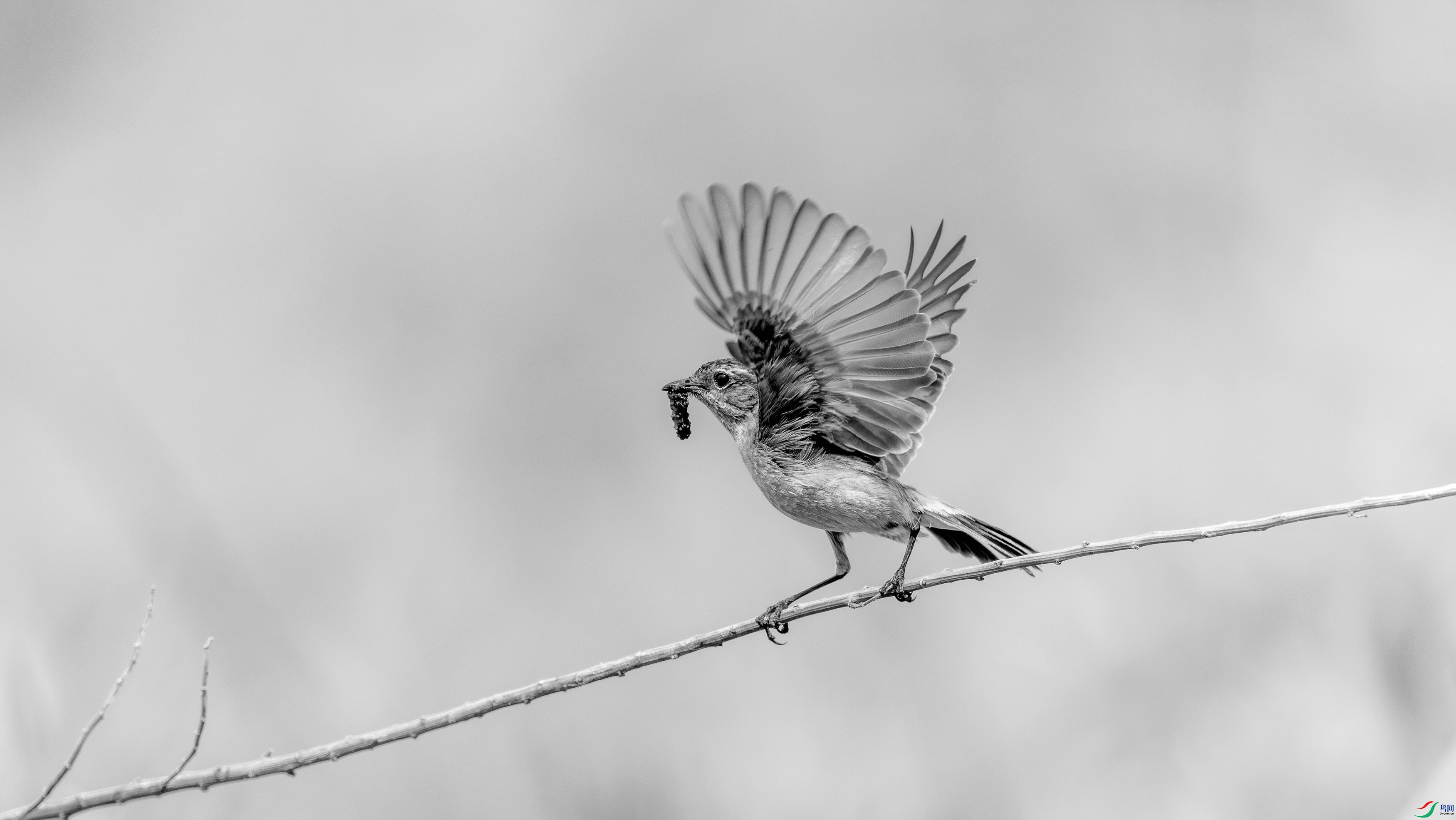 412A4307=R-1_����=00.jpg