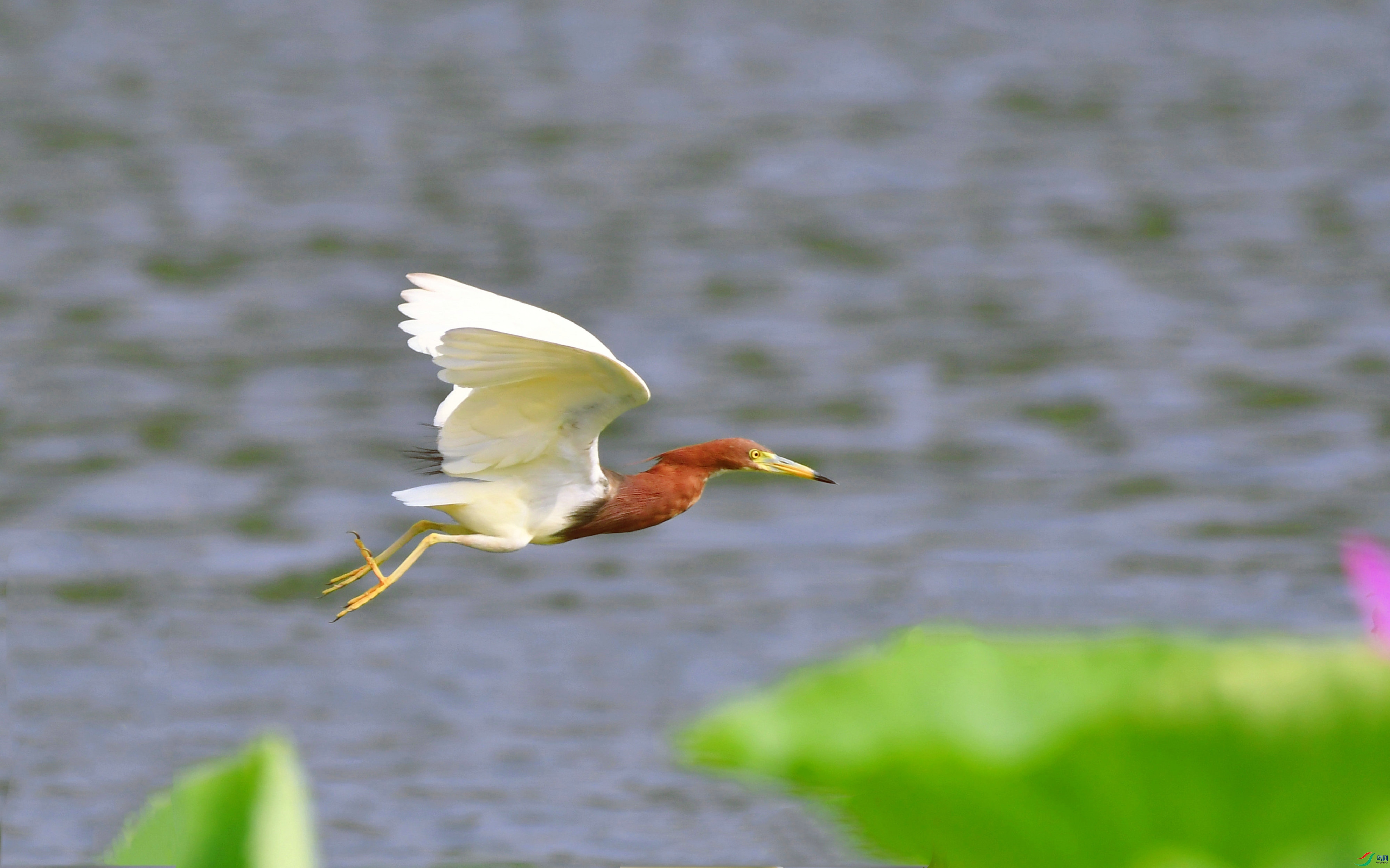DSC_6369.JPG