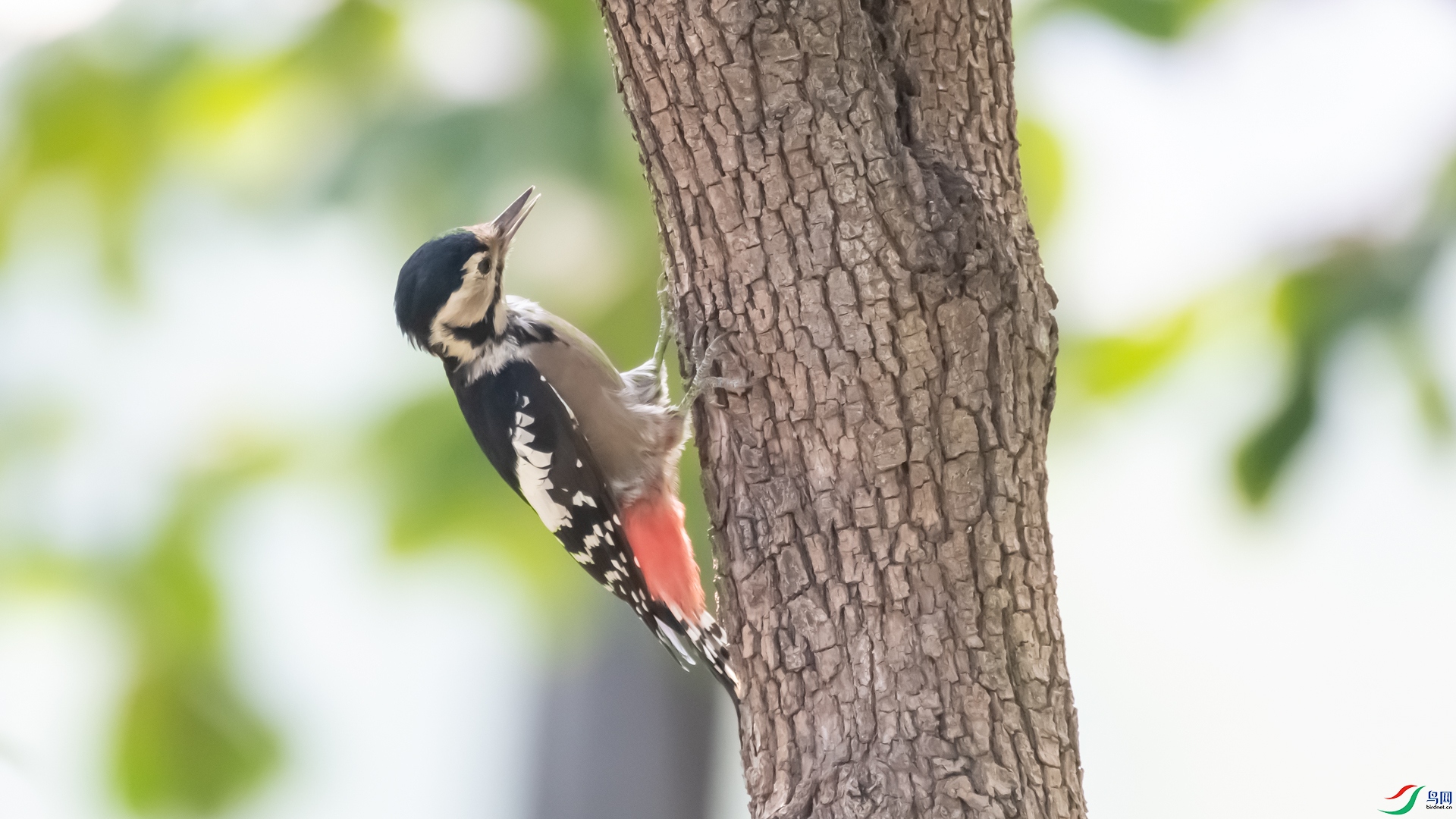 DSC_0834.jpg